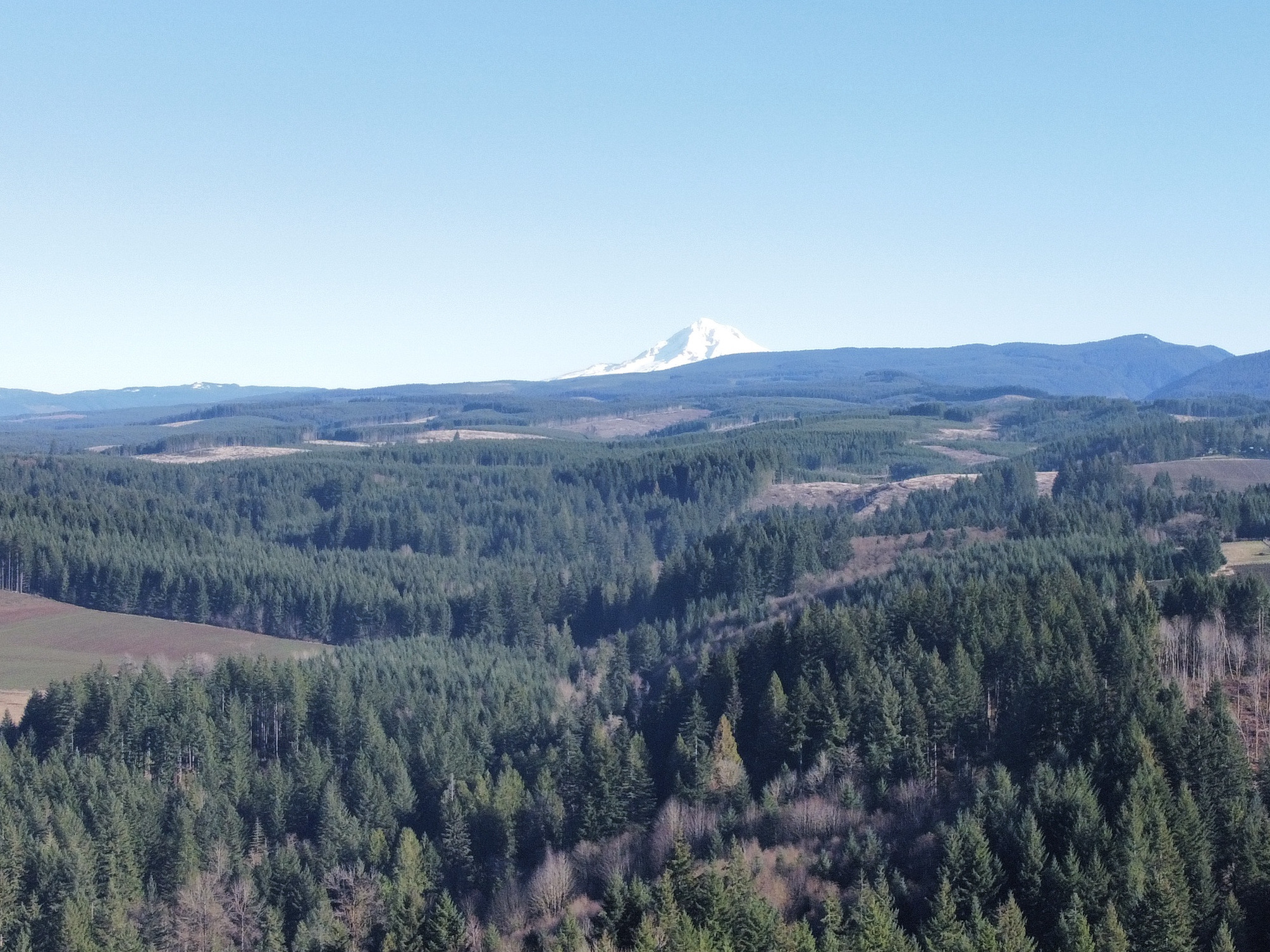 Mount Hood