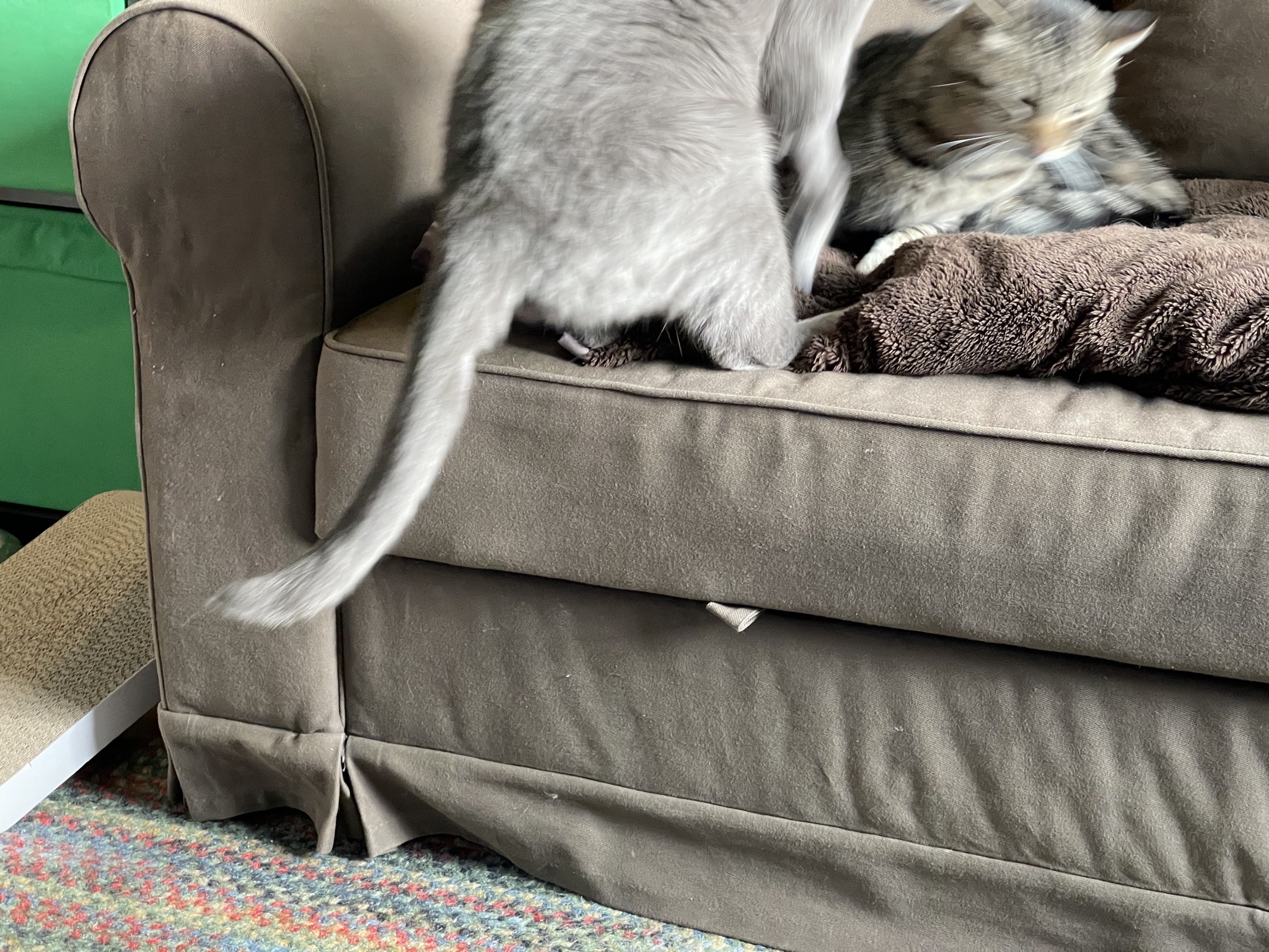 Leap