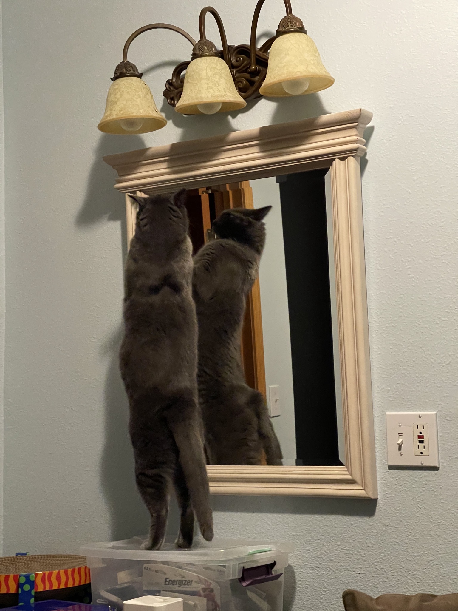 Paladin climbing the mirror