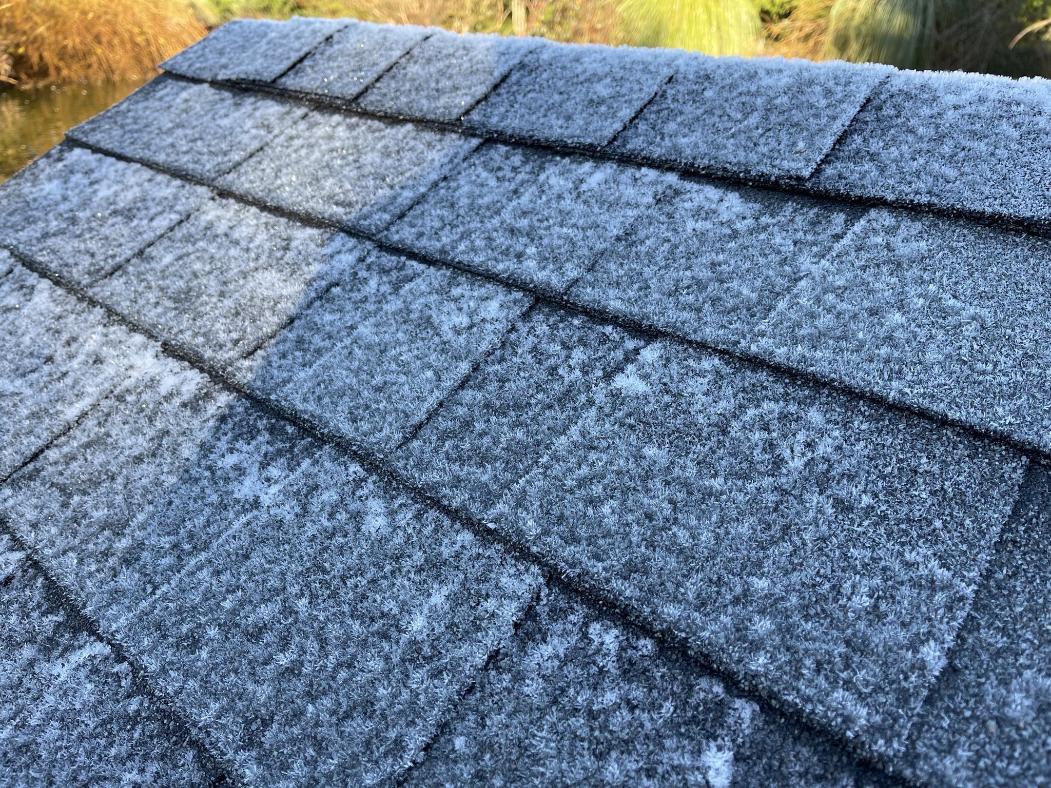 Frosty duck house roof