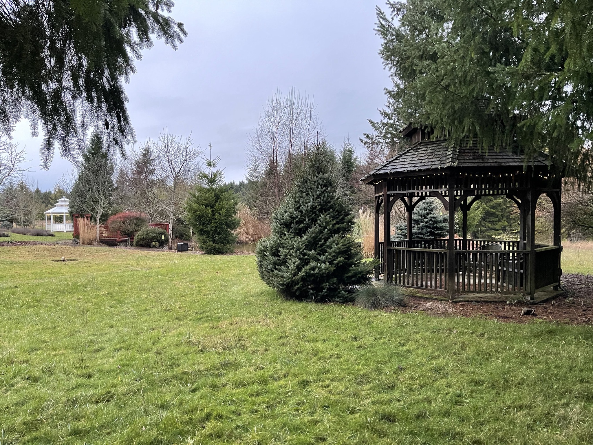 White gazebo, pond deck, brown gazebo