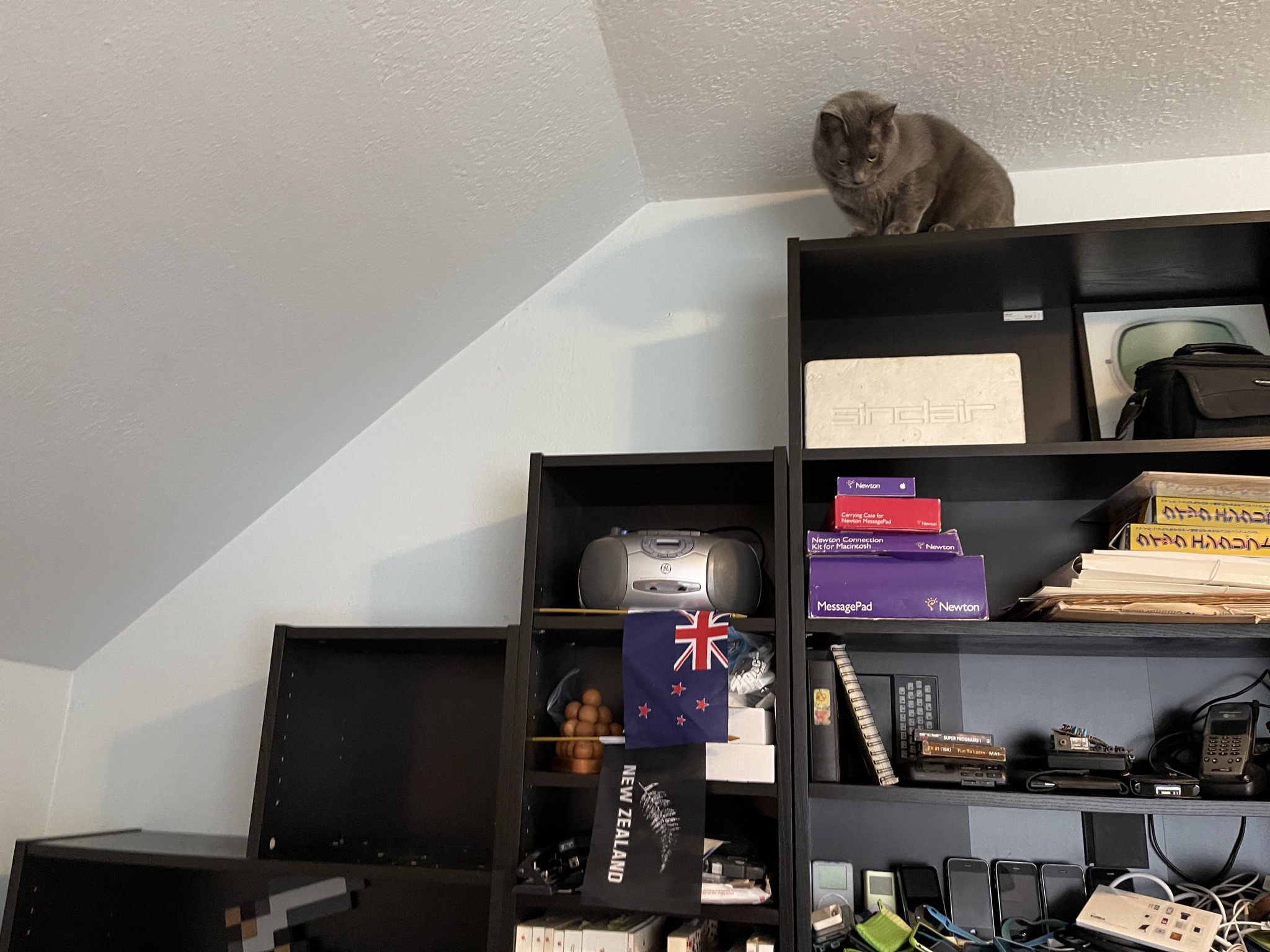 Paladin on my office shelves