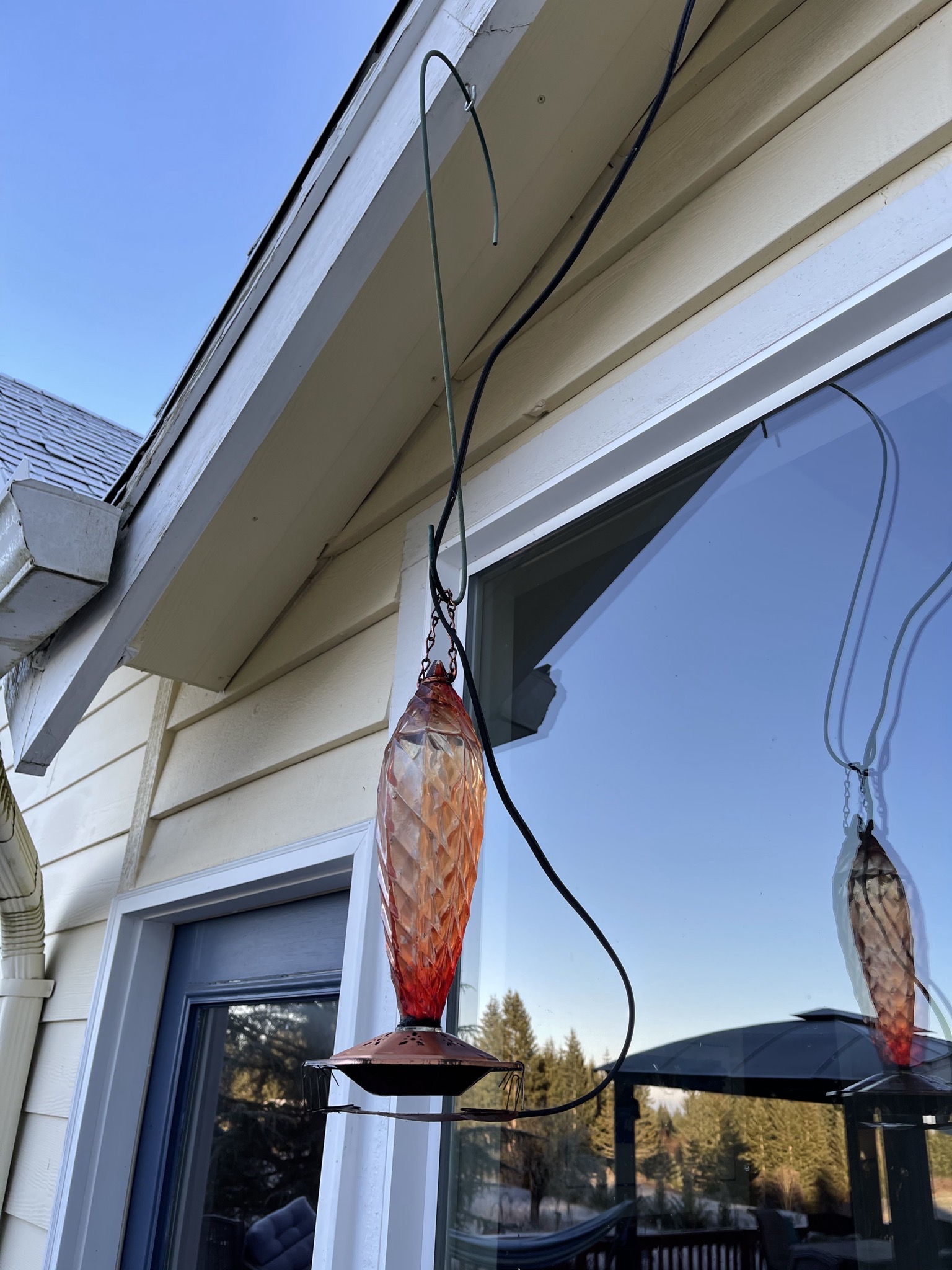 Hummingbird feeder with heating pad