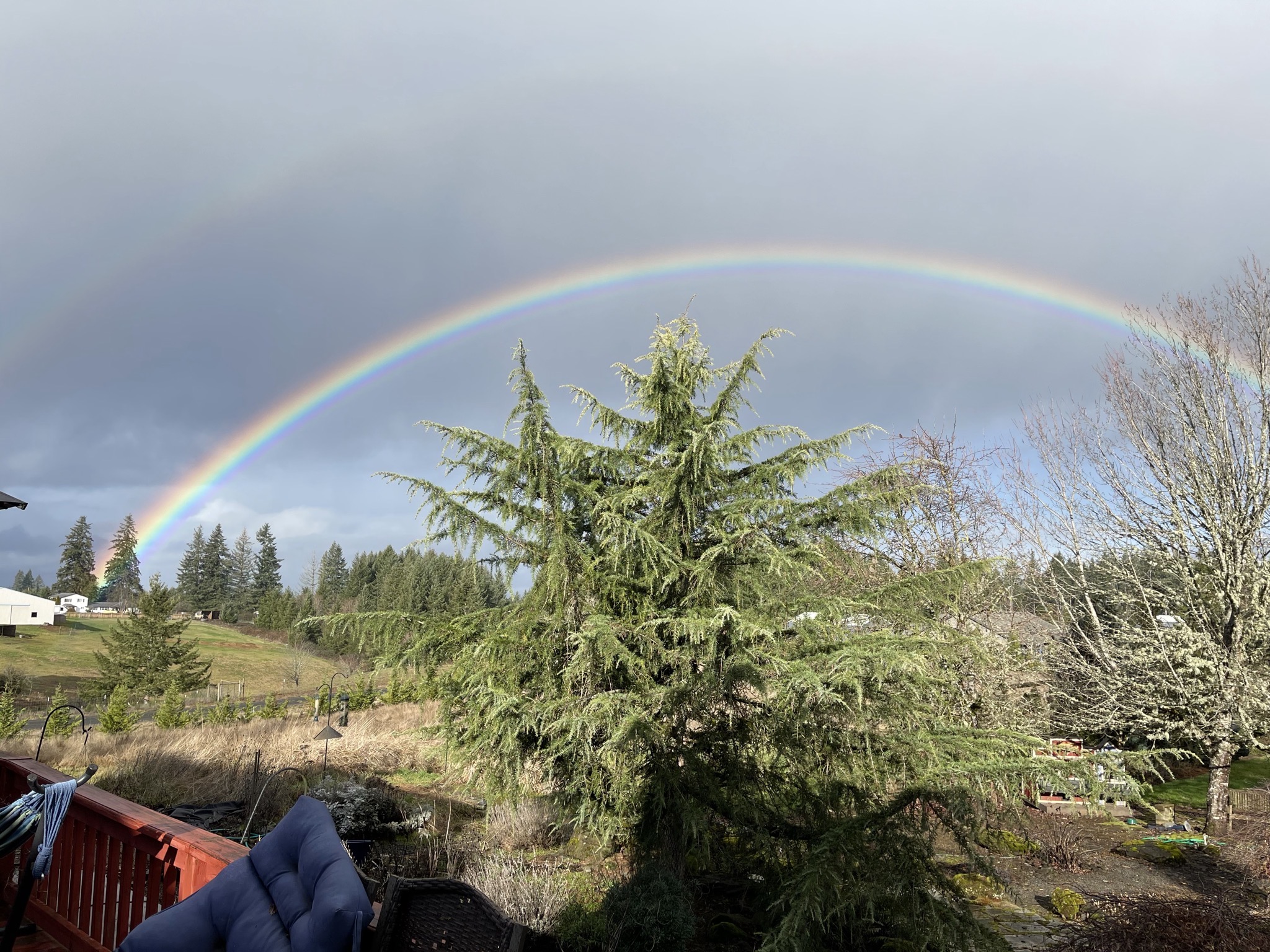 Rainbow