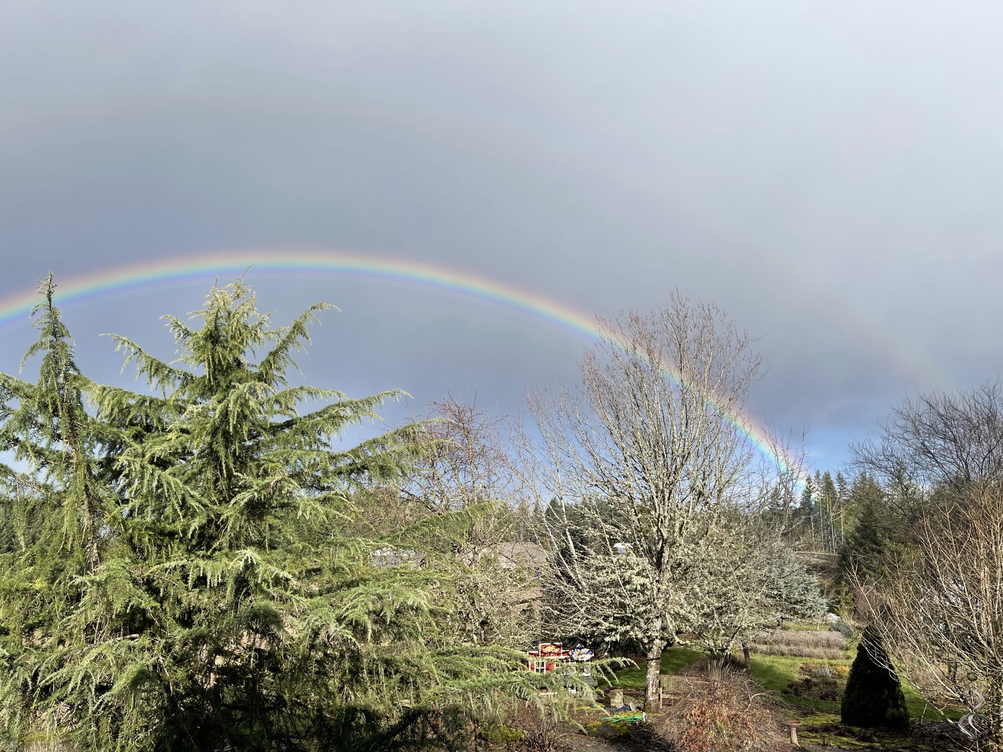 Rainbow