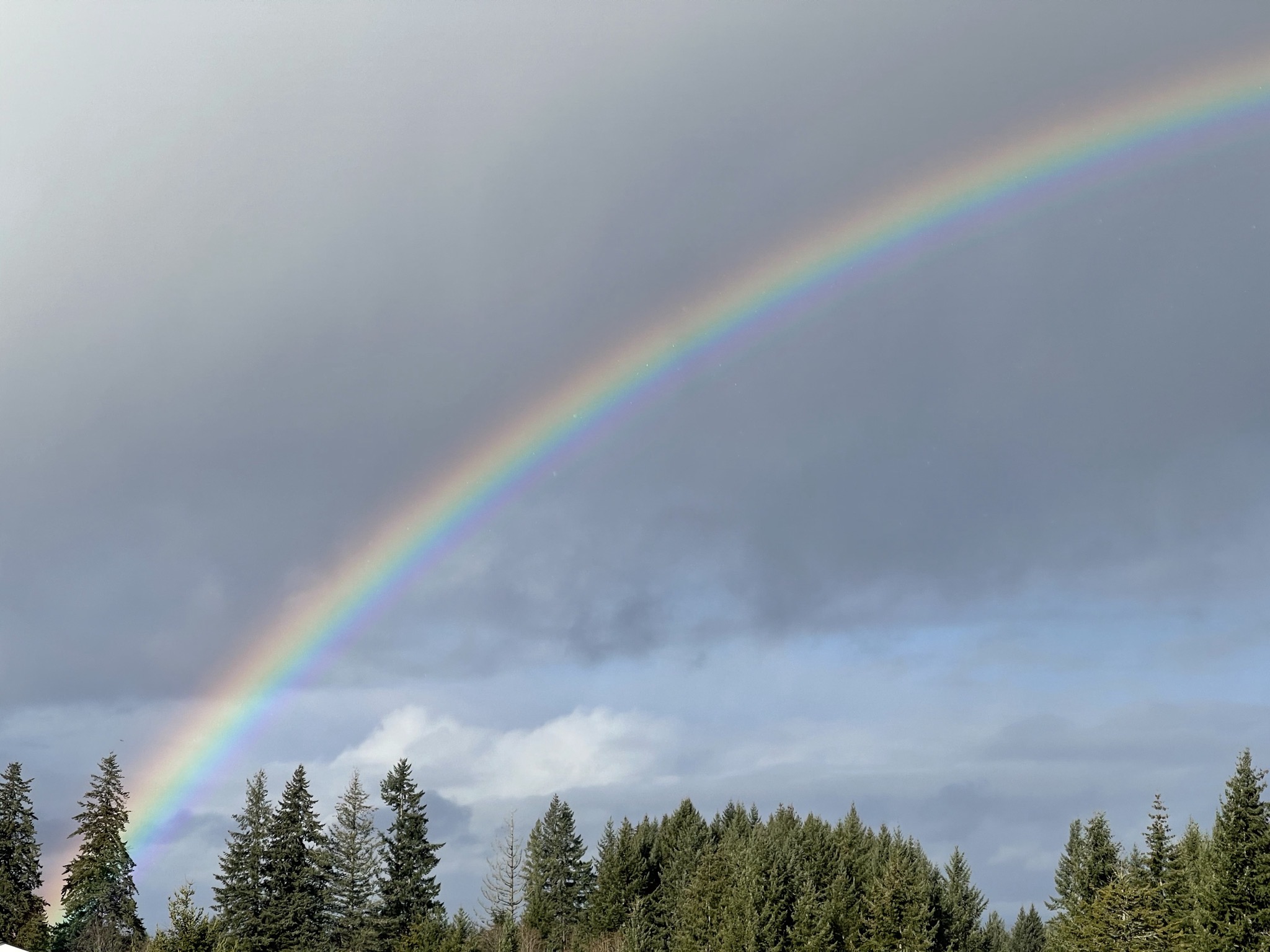 Rainbow