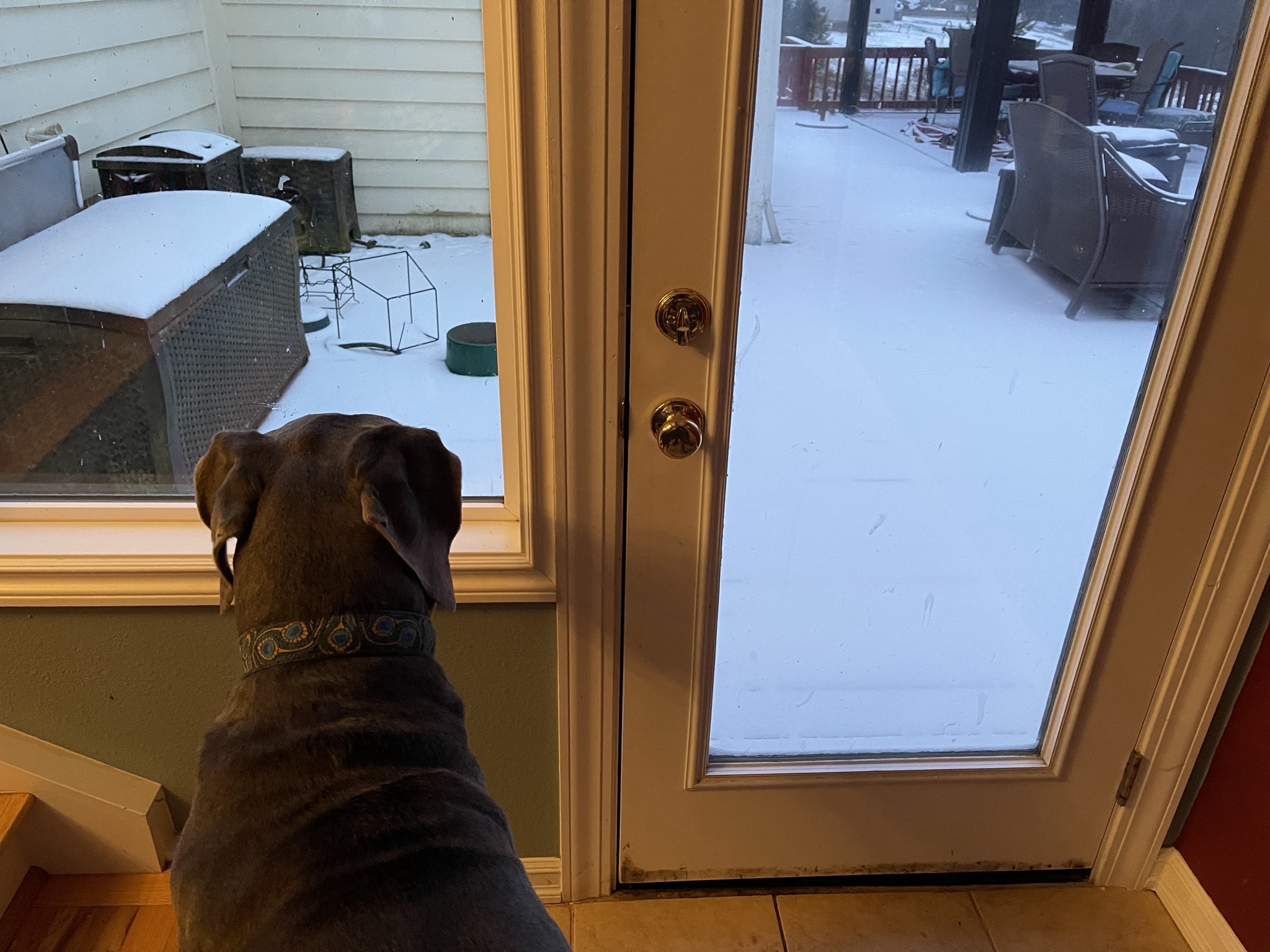 Rory and snow