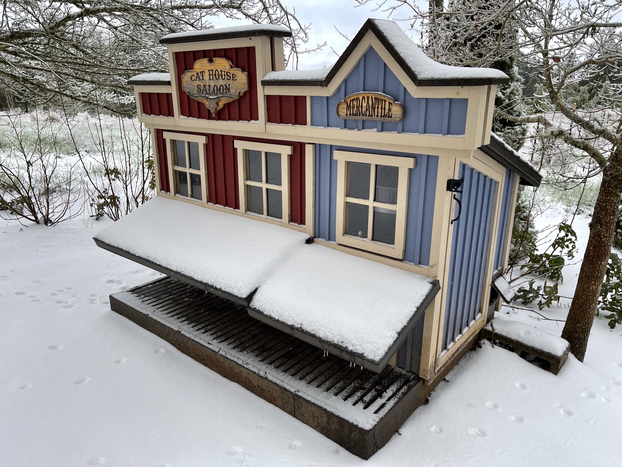 Snowy cat house