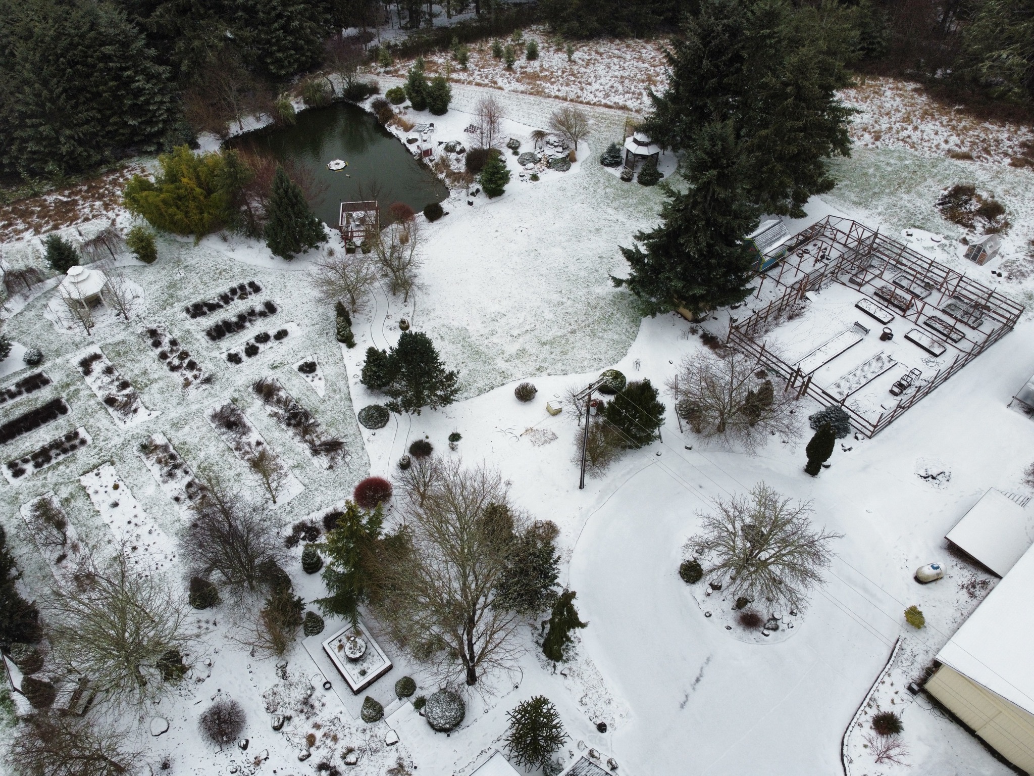 Aerial snow
