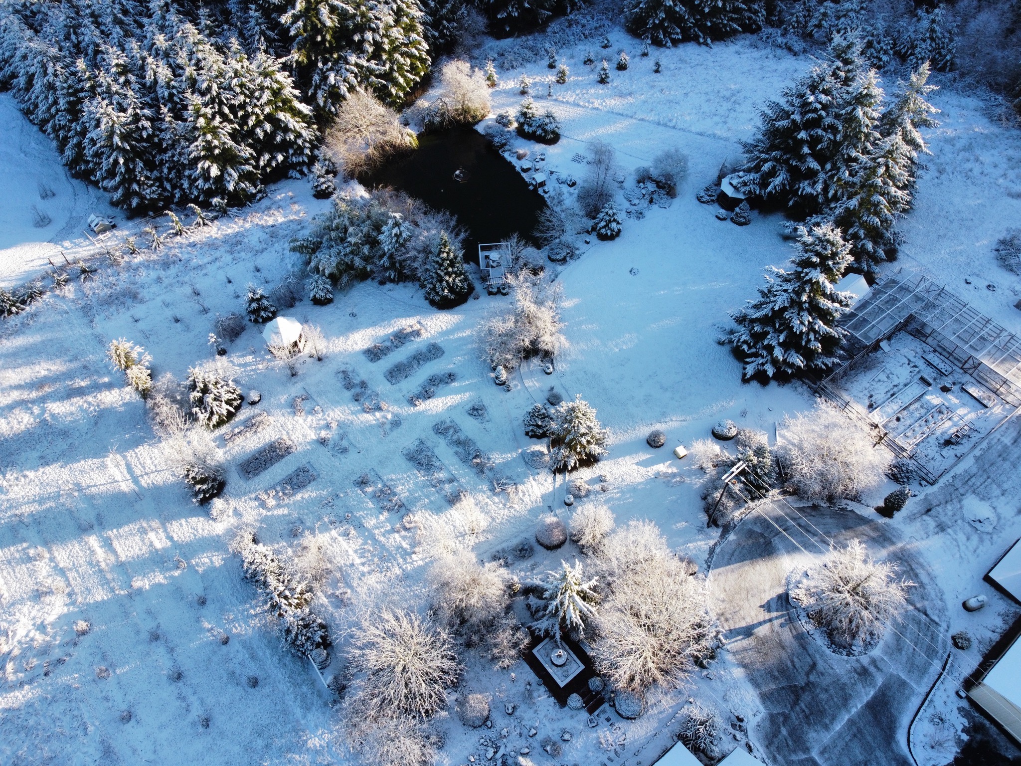 Snow