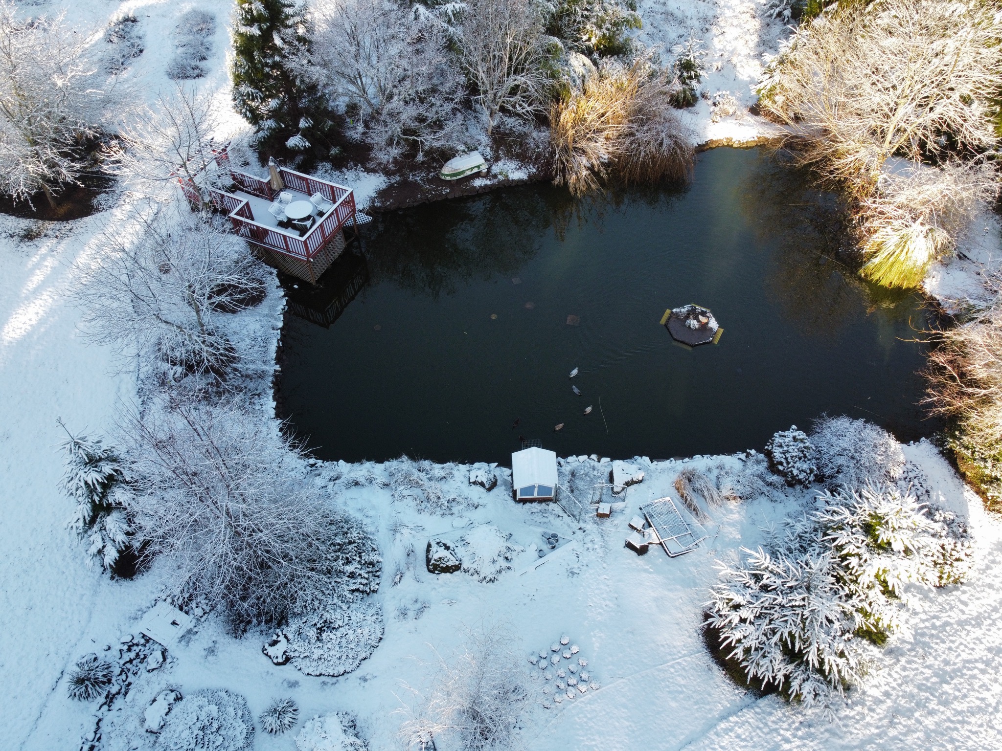 Pond
