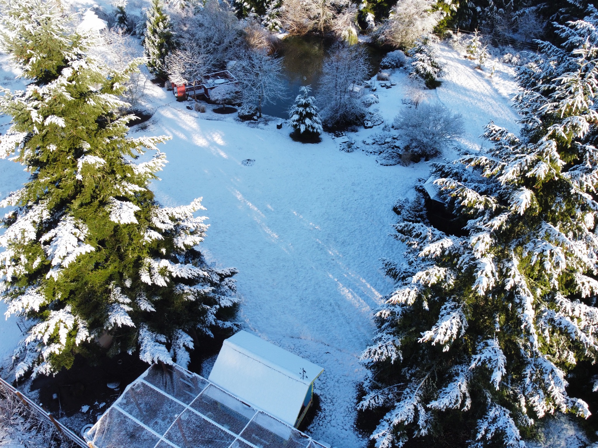 Snow
