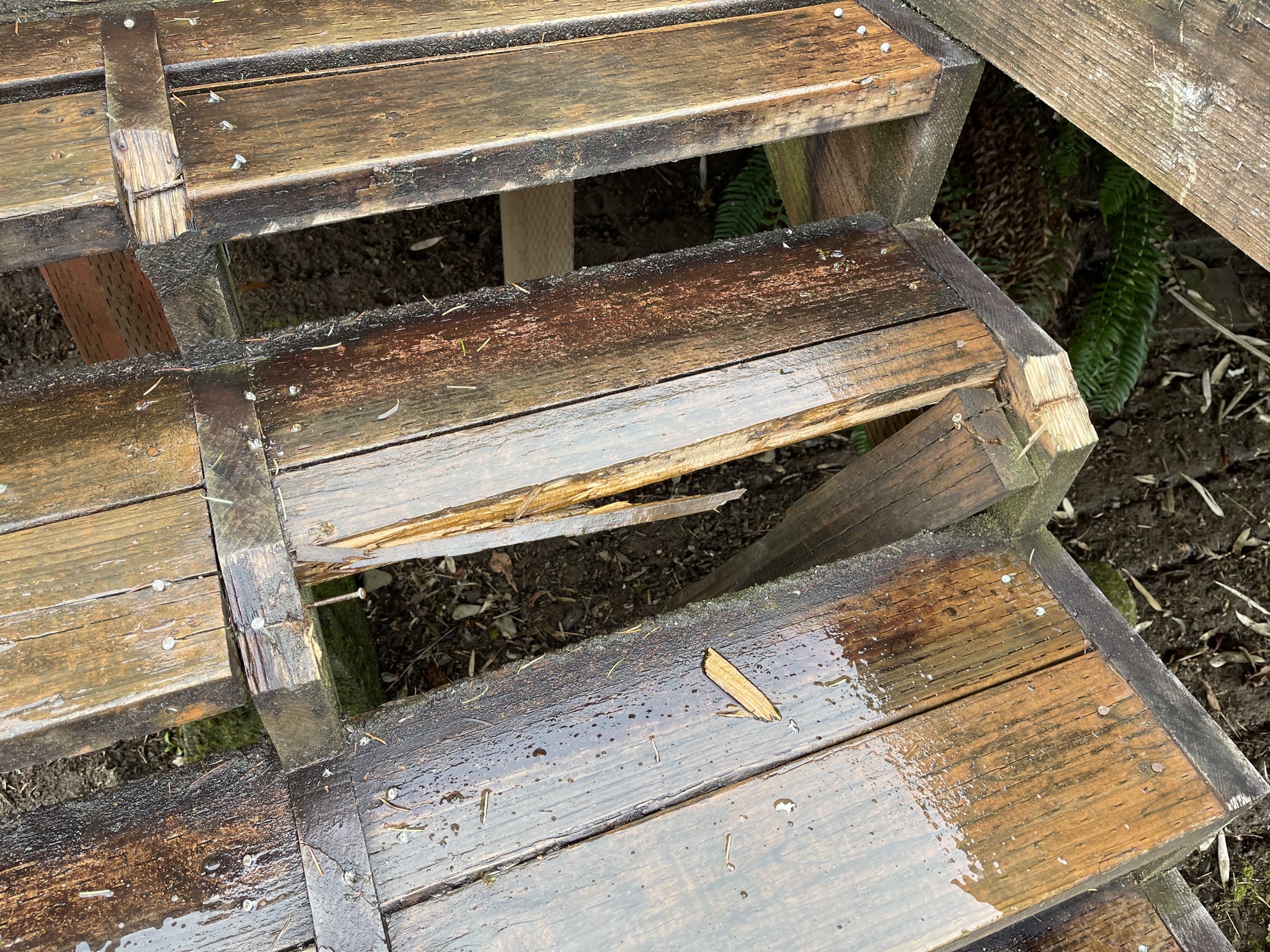 Broken step