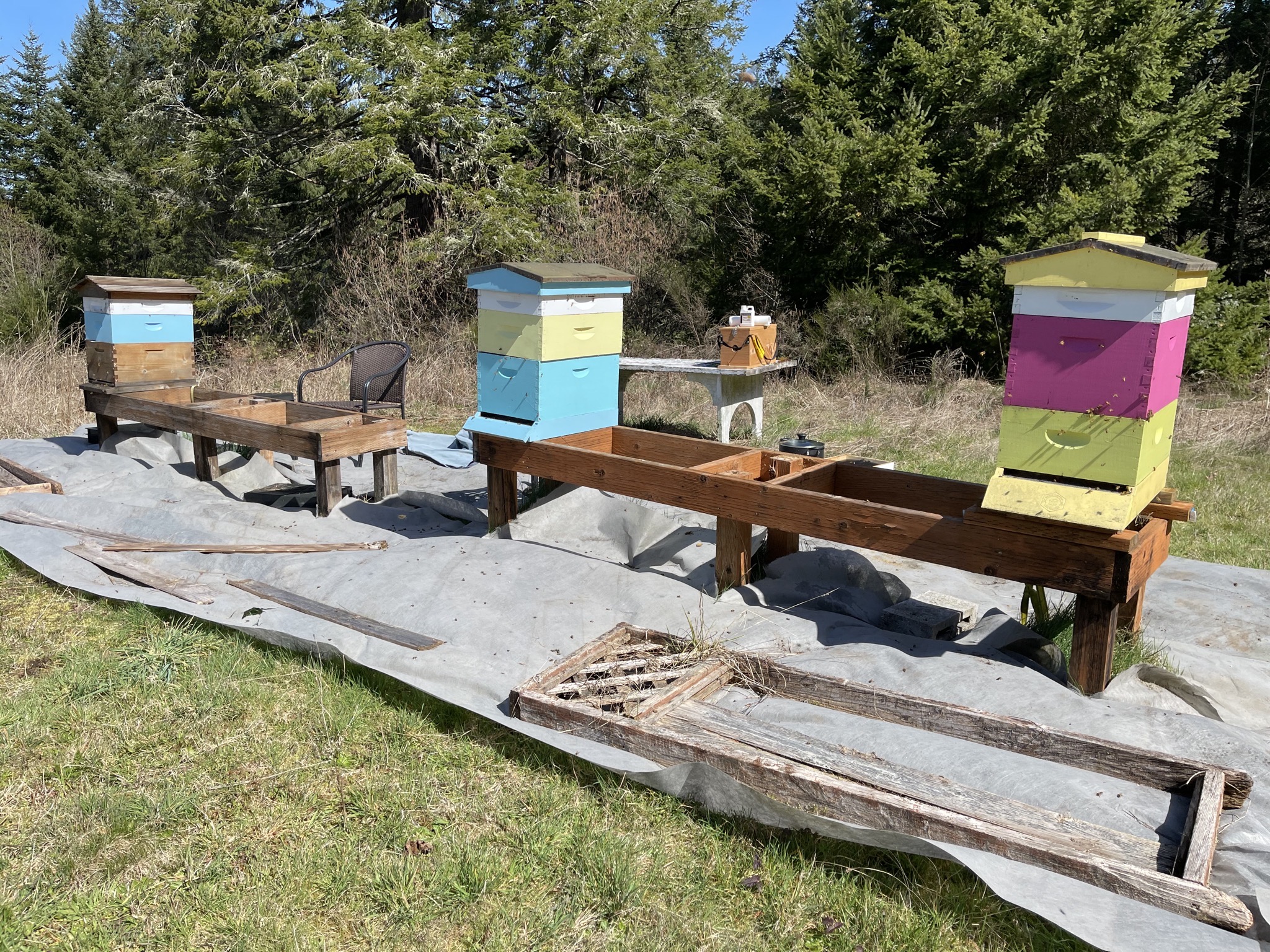 Beehives