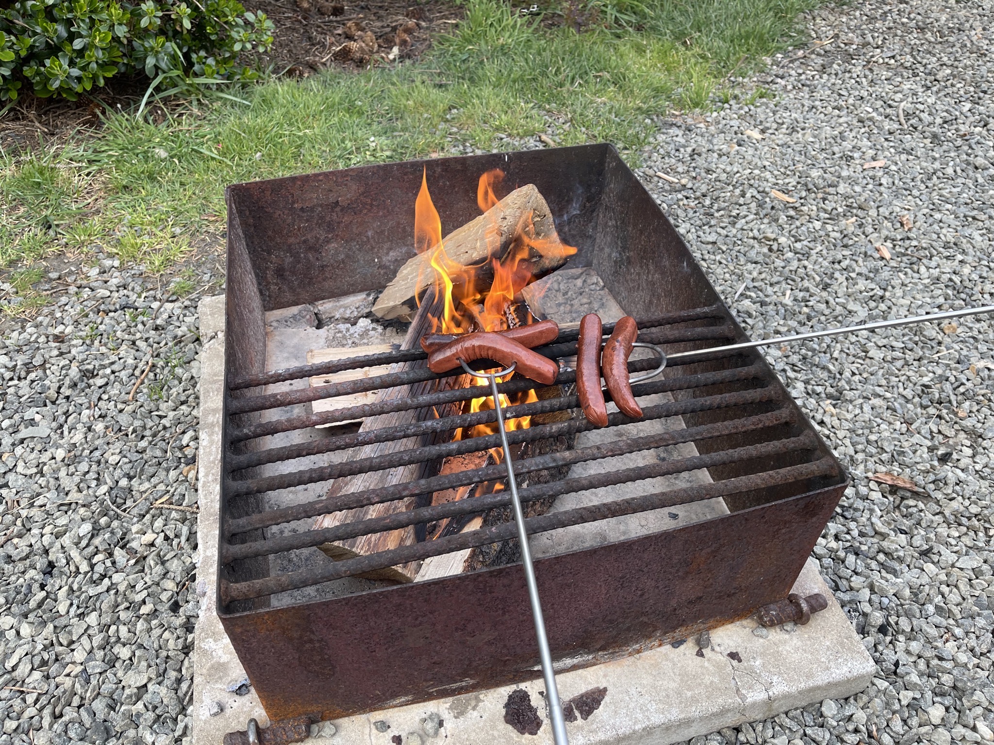 Cooking hot dogs on fire pit