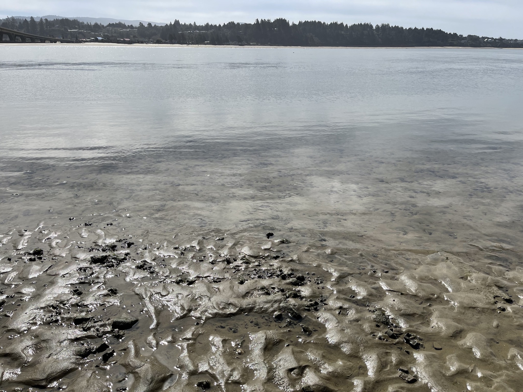 Wet sand