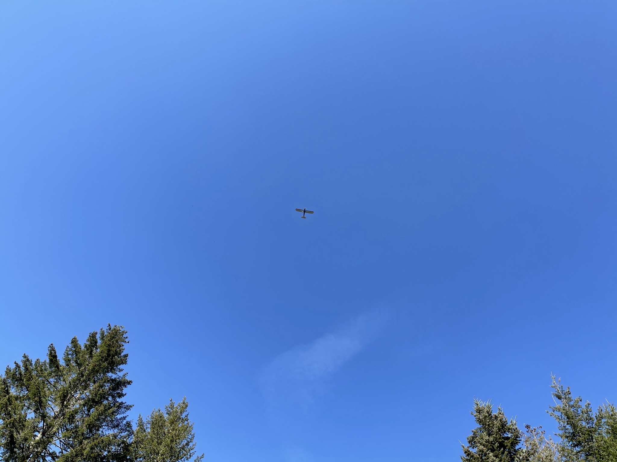 Plane in blue sky