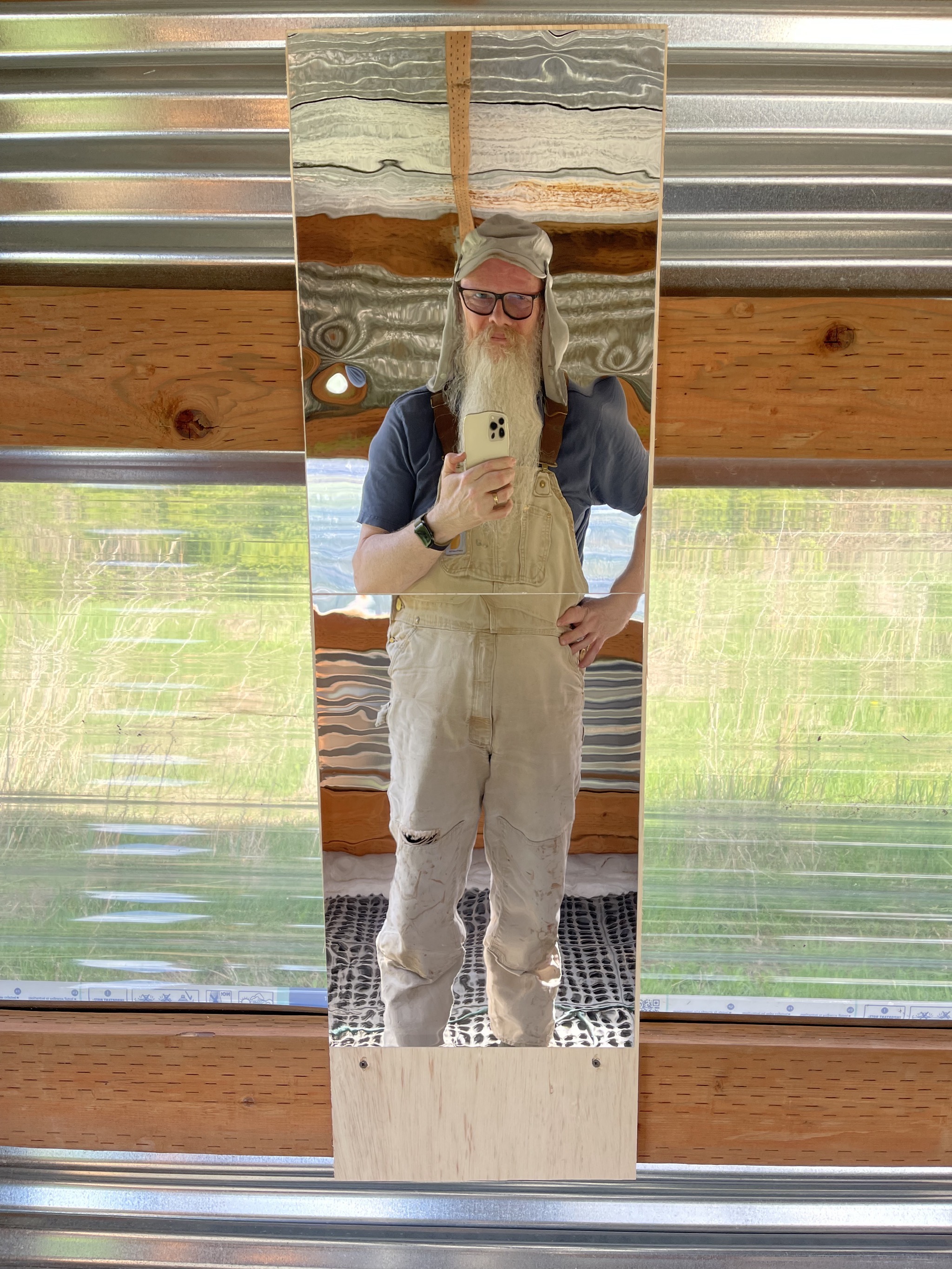 David in mirror