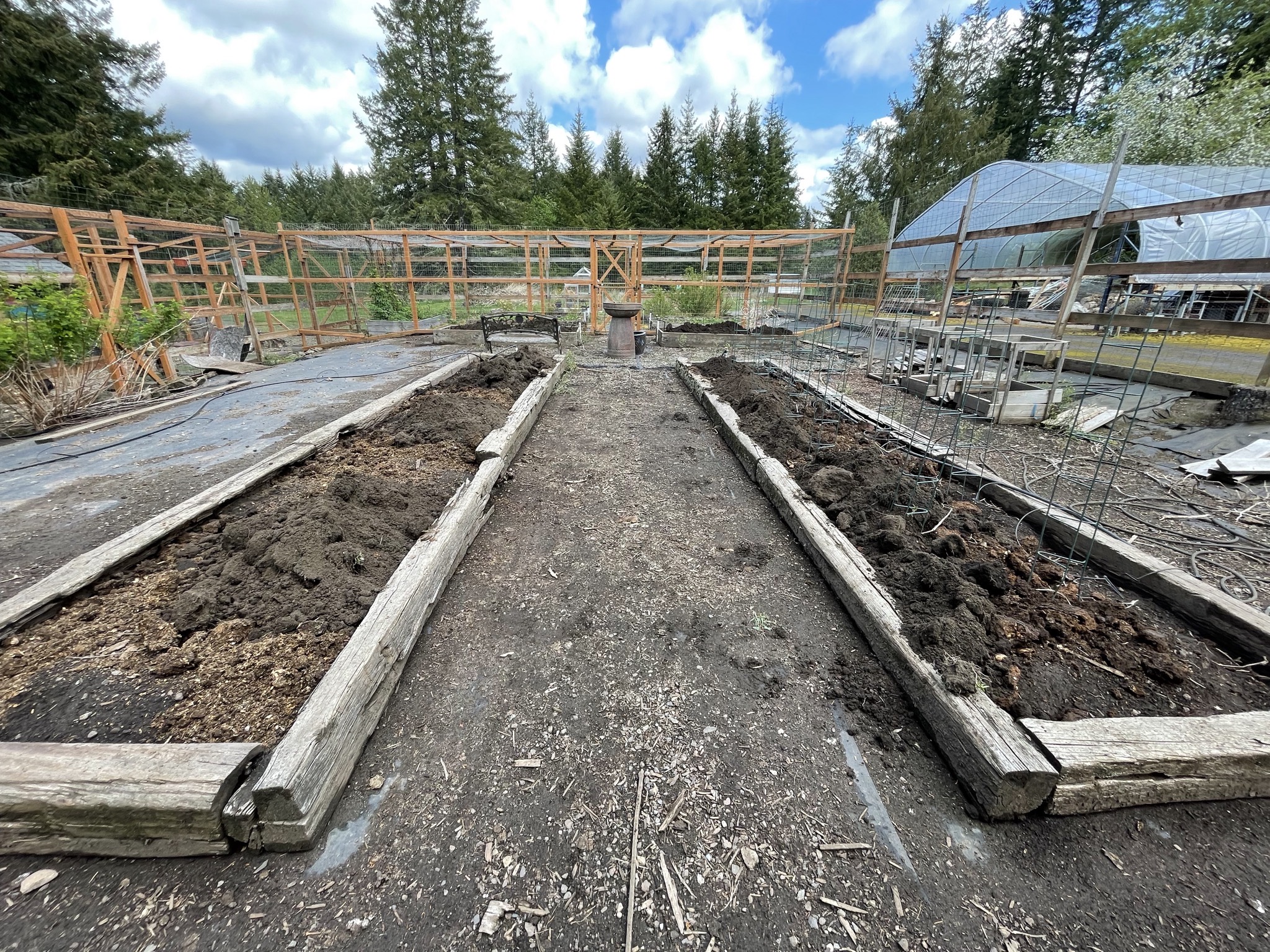 Veggie beds with compost