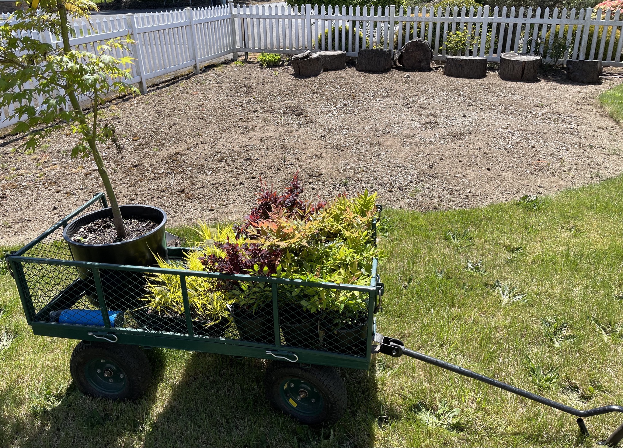 Cart with plants and empty garden