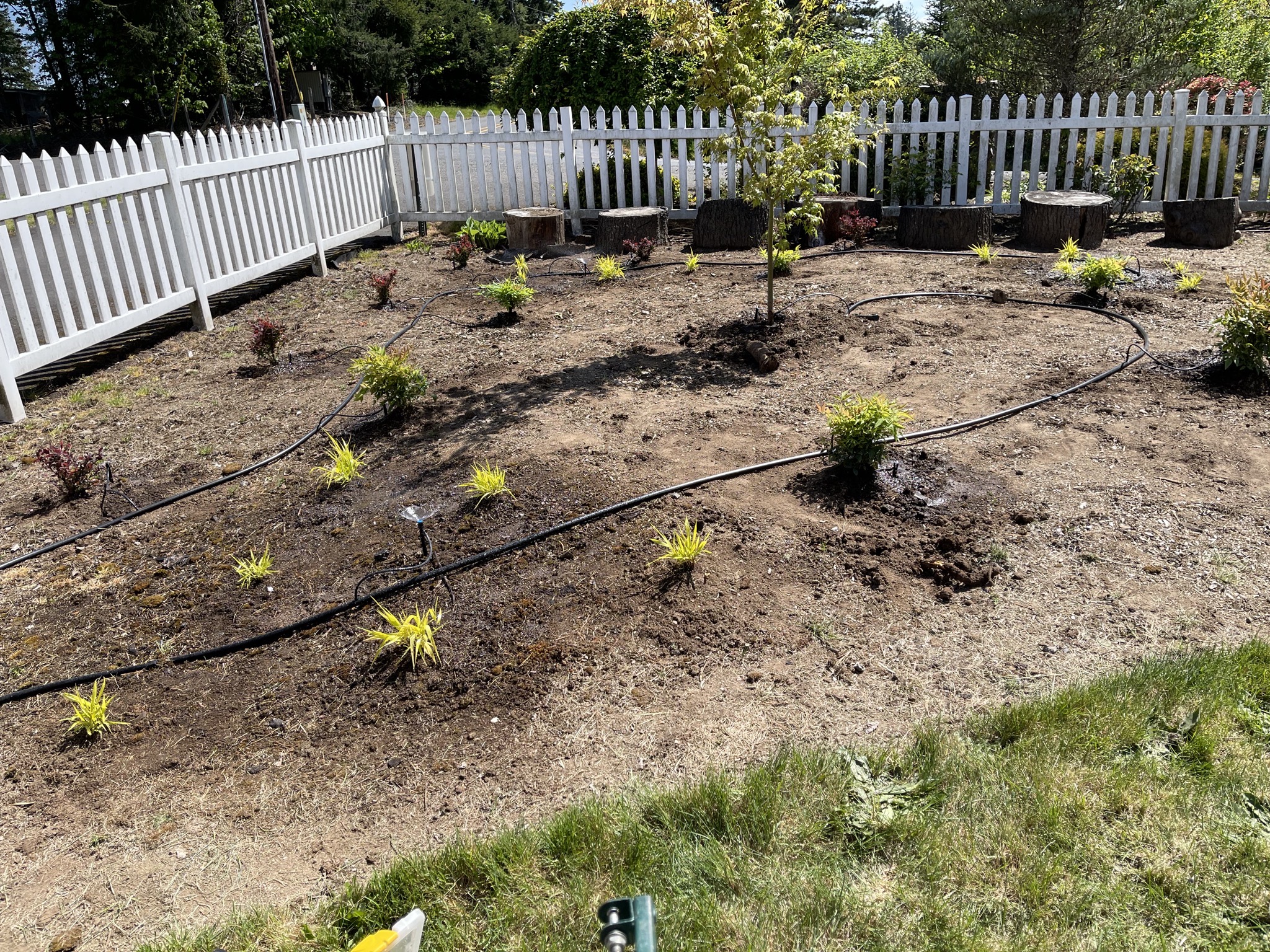 Planted garden
