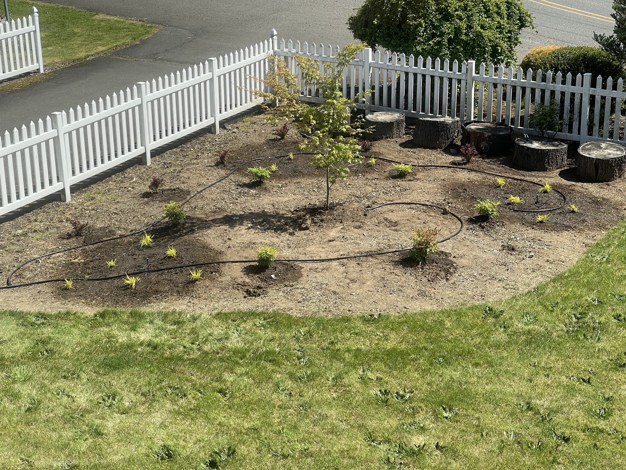 Garden from upstairs window
