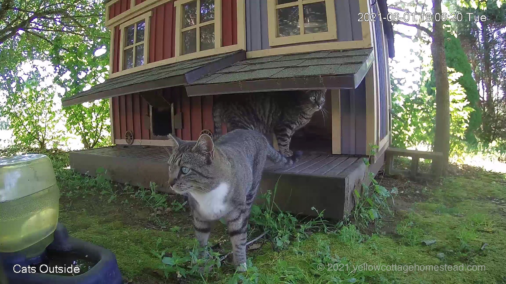 Bella and Spud