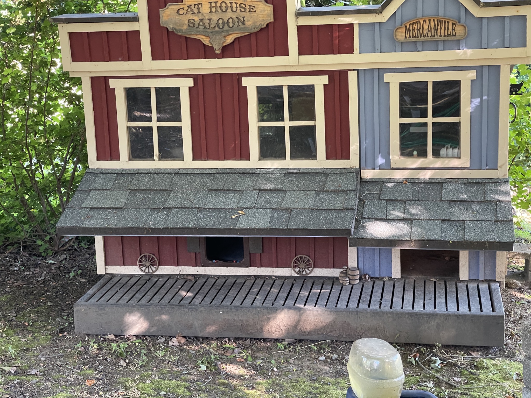 Cat house