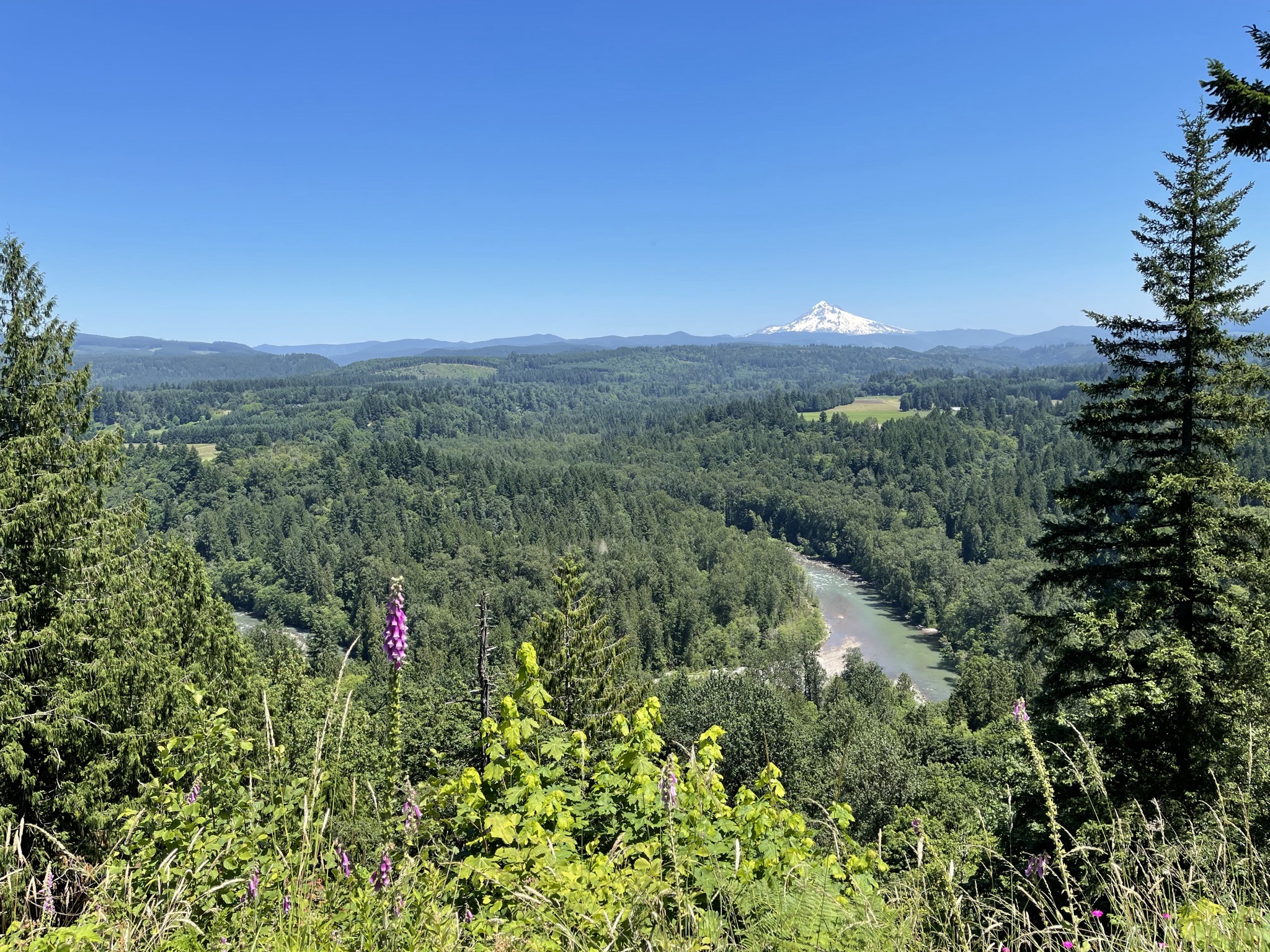 Jonsrud Viewpoint