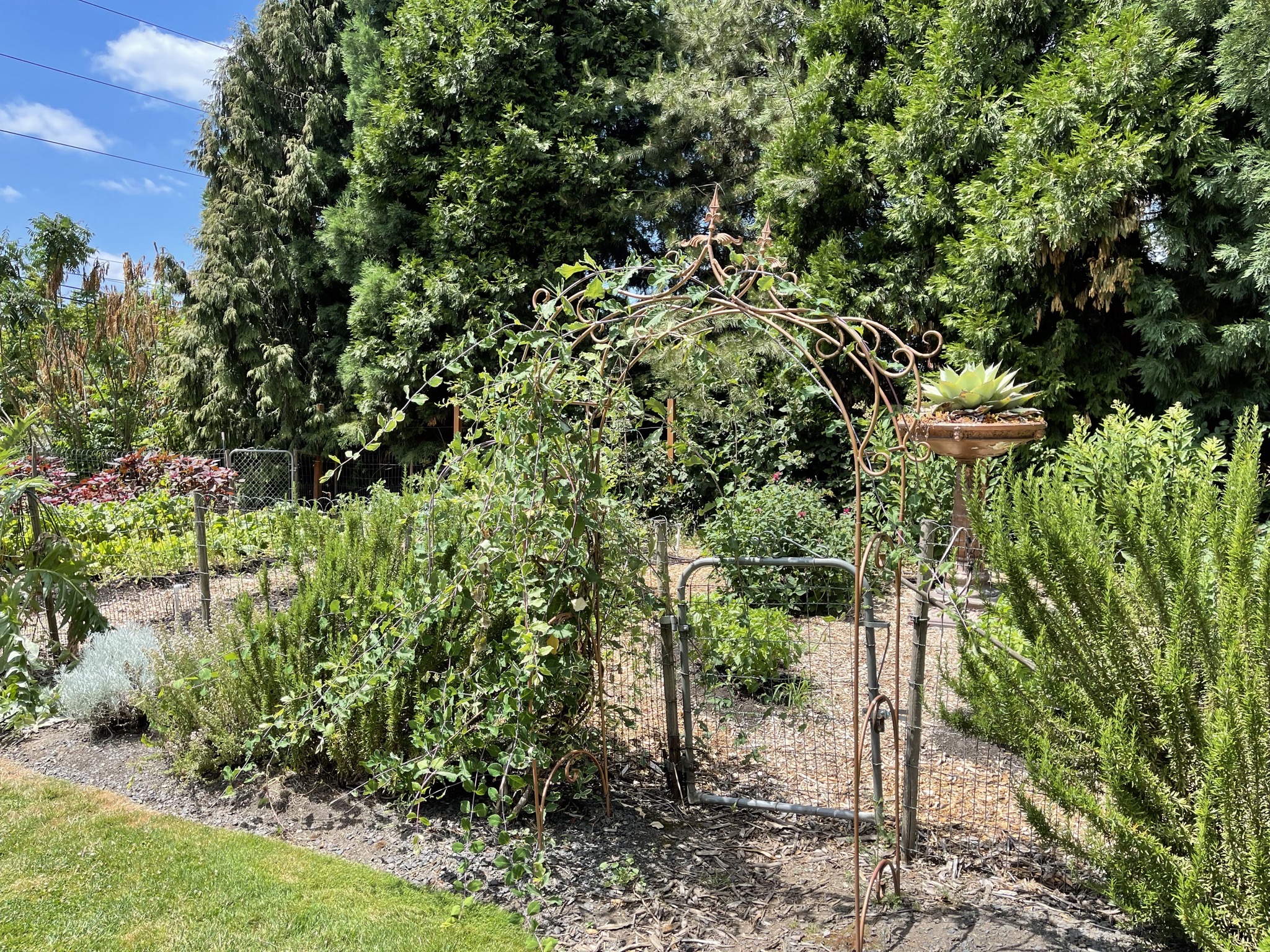 Landscaping