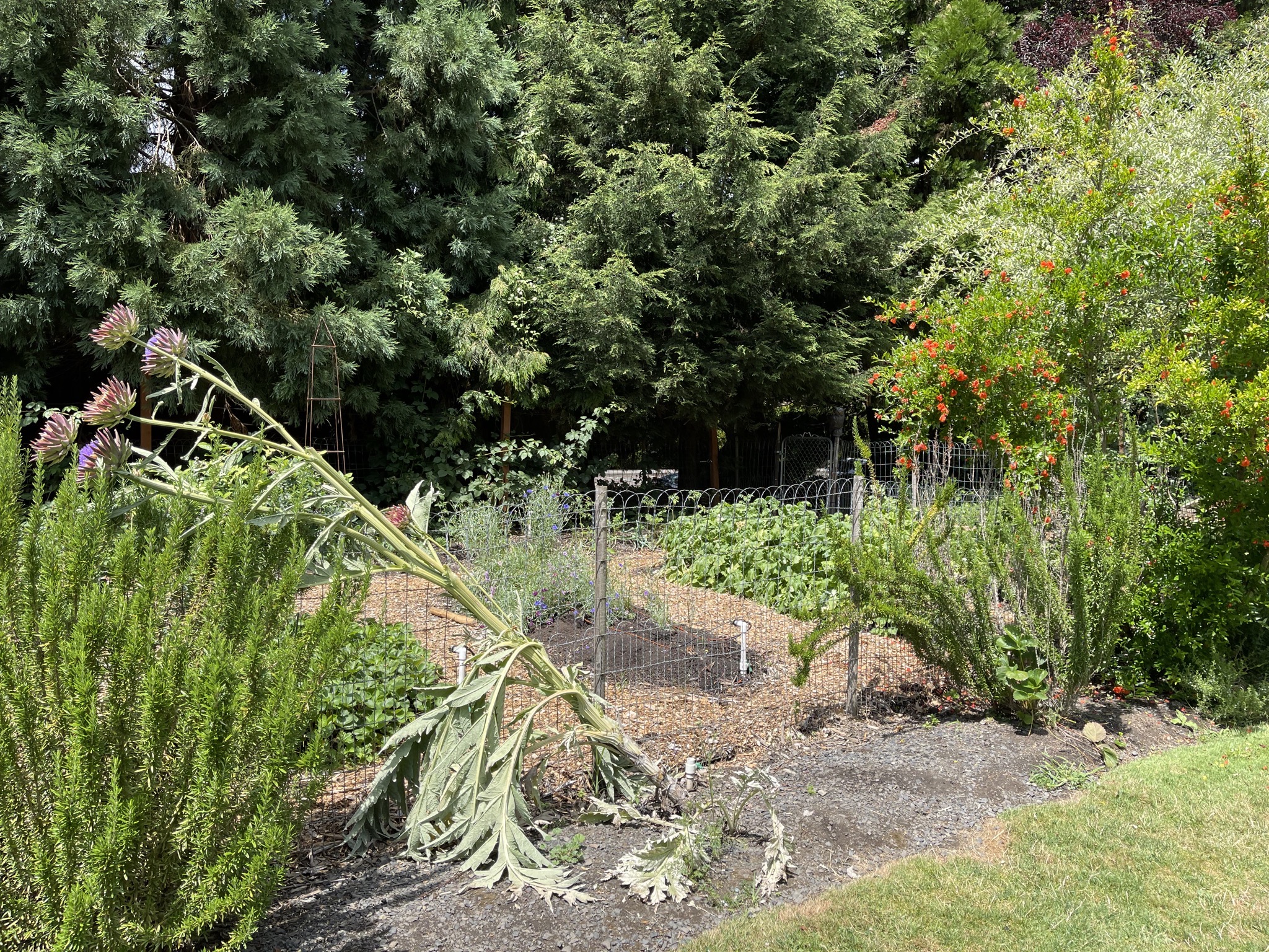 Landscaping