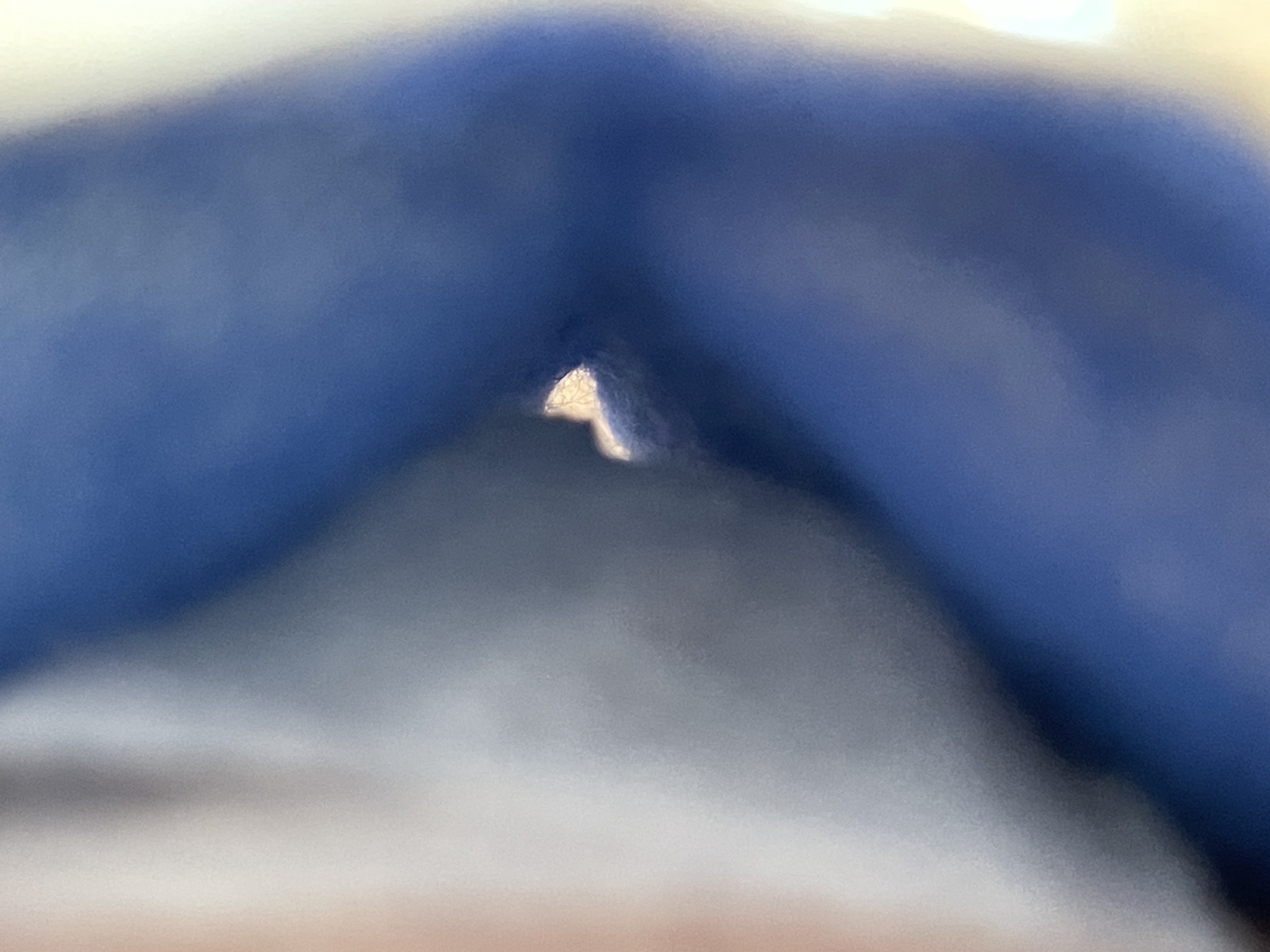 What is this?