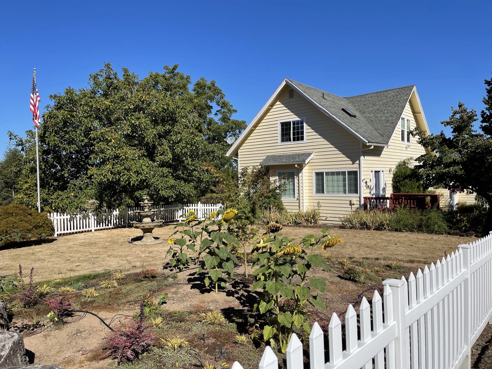 Front lawn and house