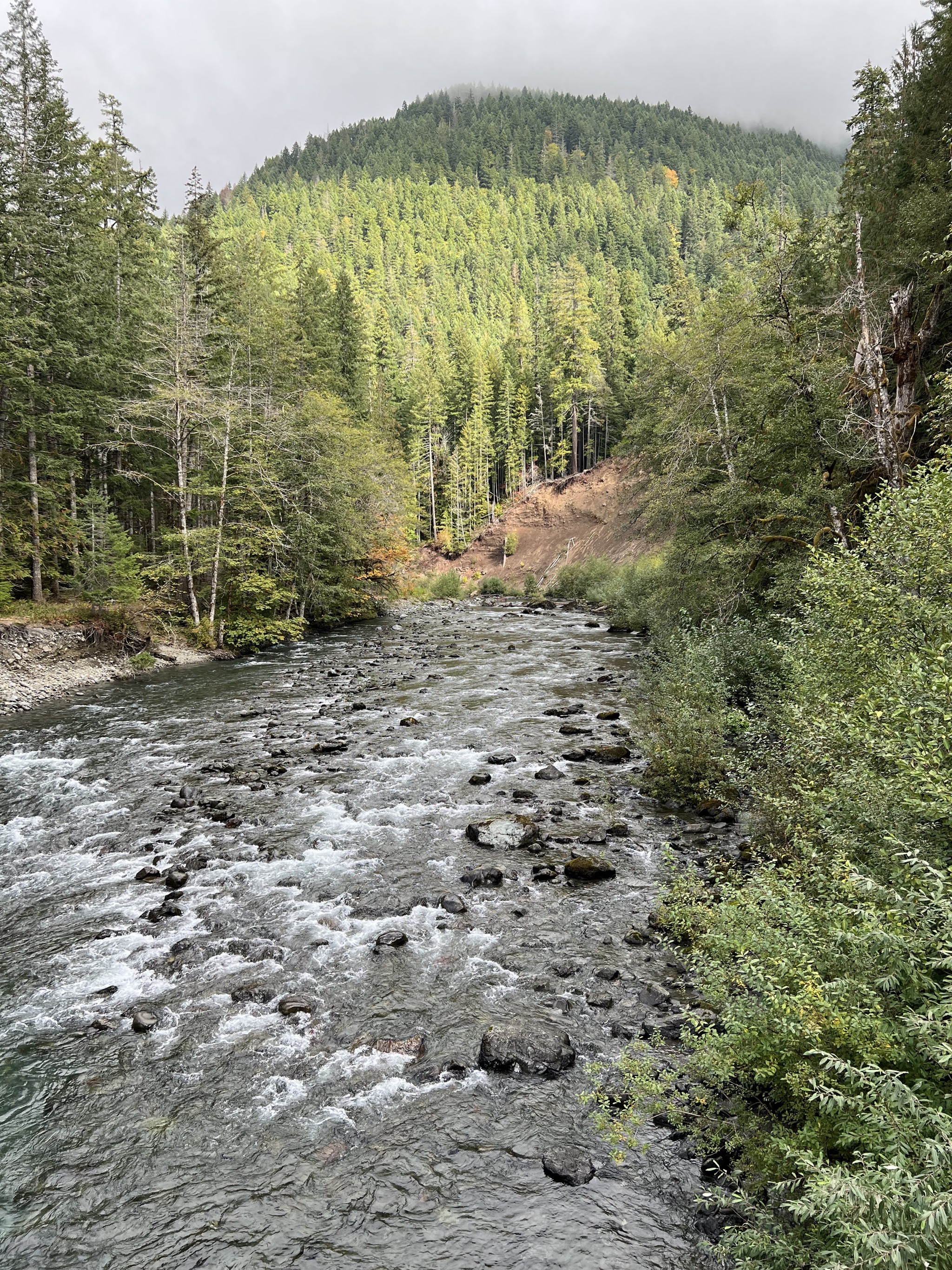 Olympic National Park