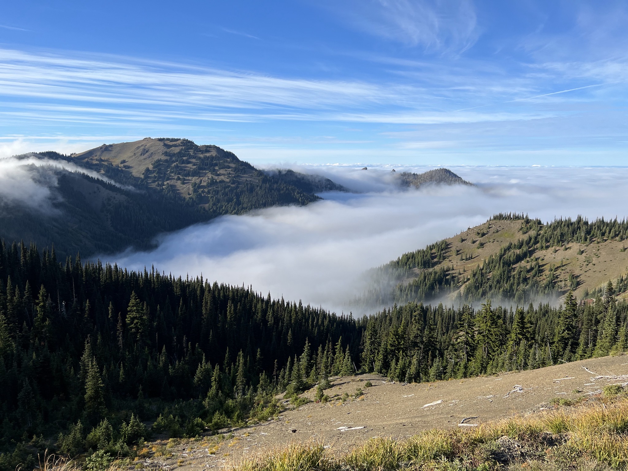 Hurricane Ridge, Olympic National Park