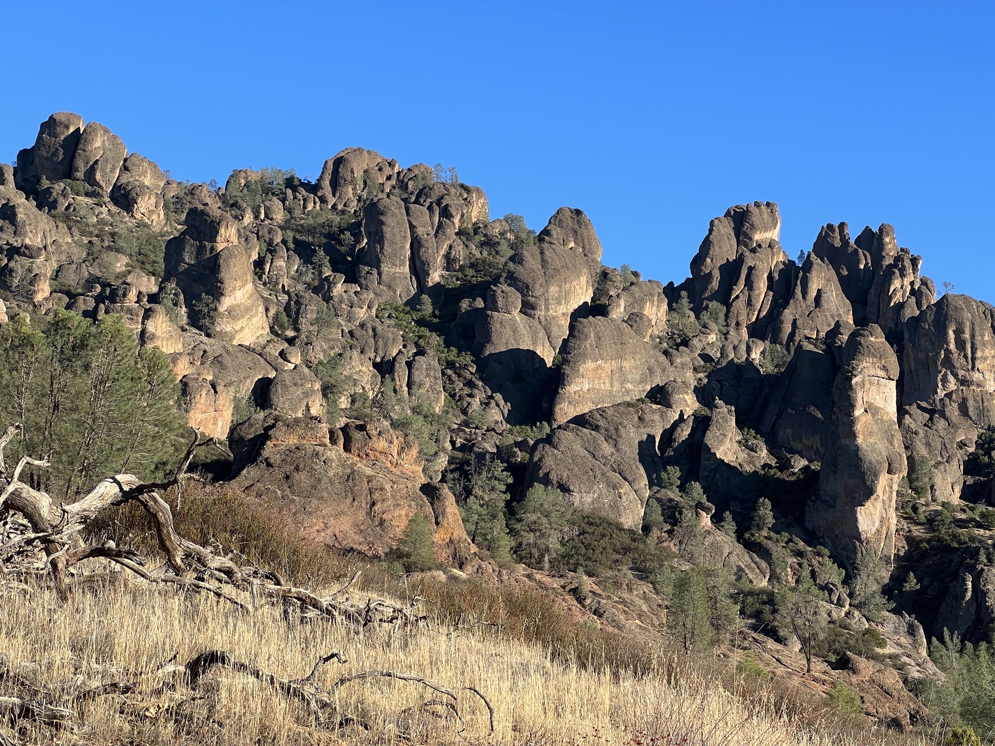 Pinnacles National Park