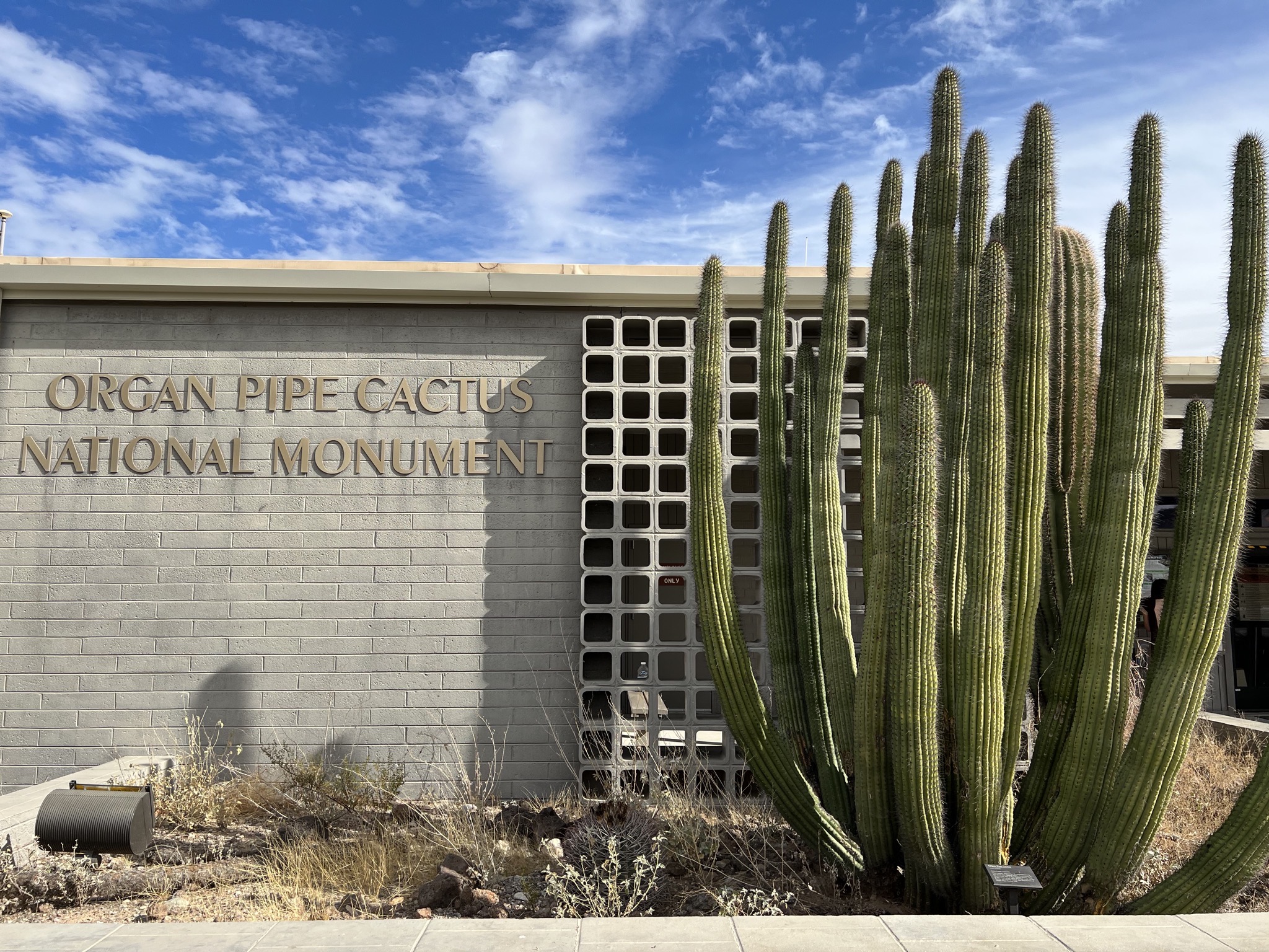 Organ Pipe Cactus National Monument