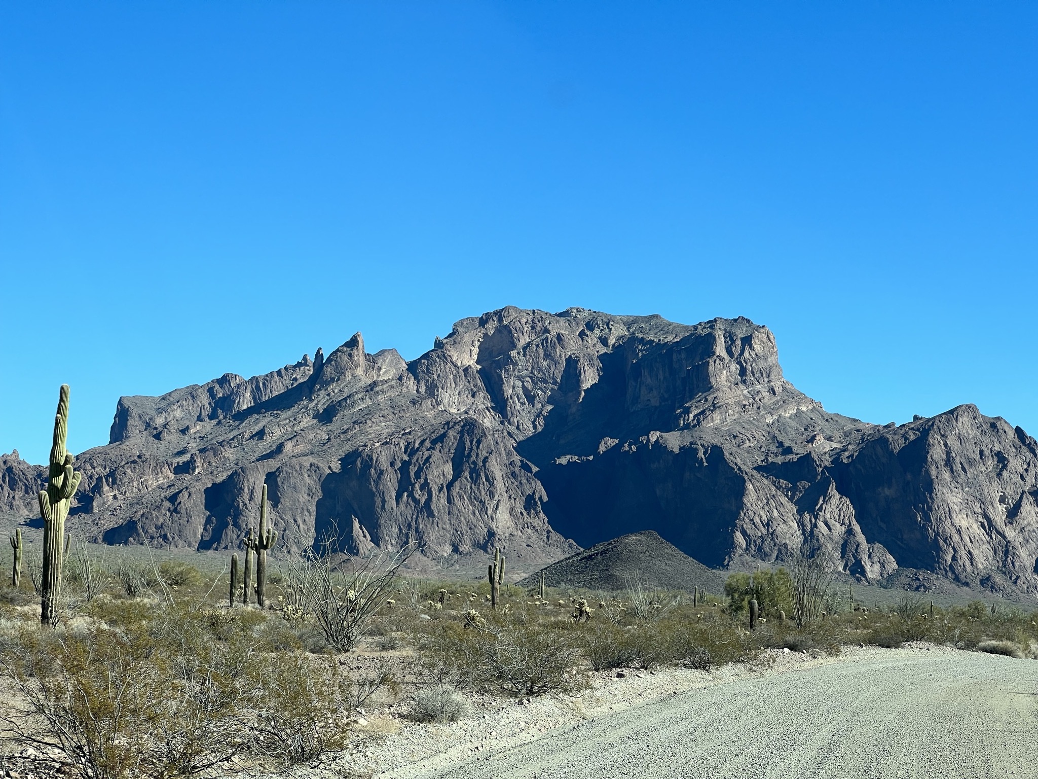 Palm Canyon in the Kofa National Wildlife Refuge, Yuma, AZ