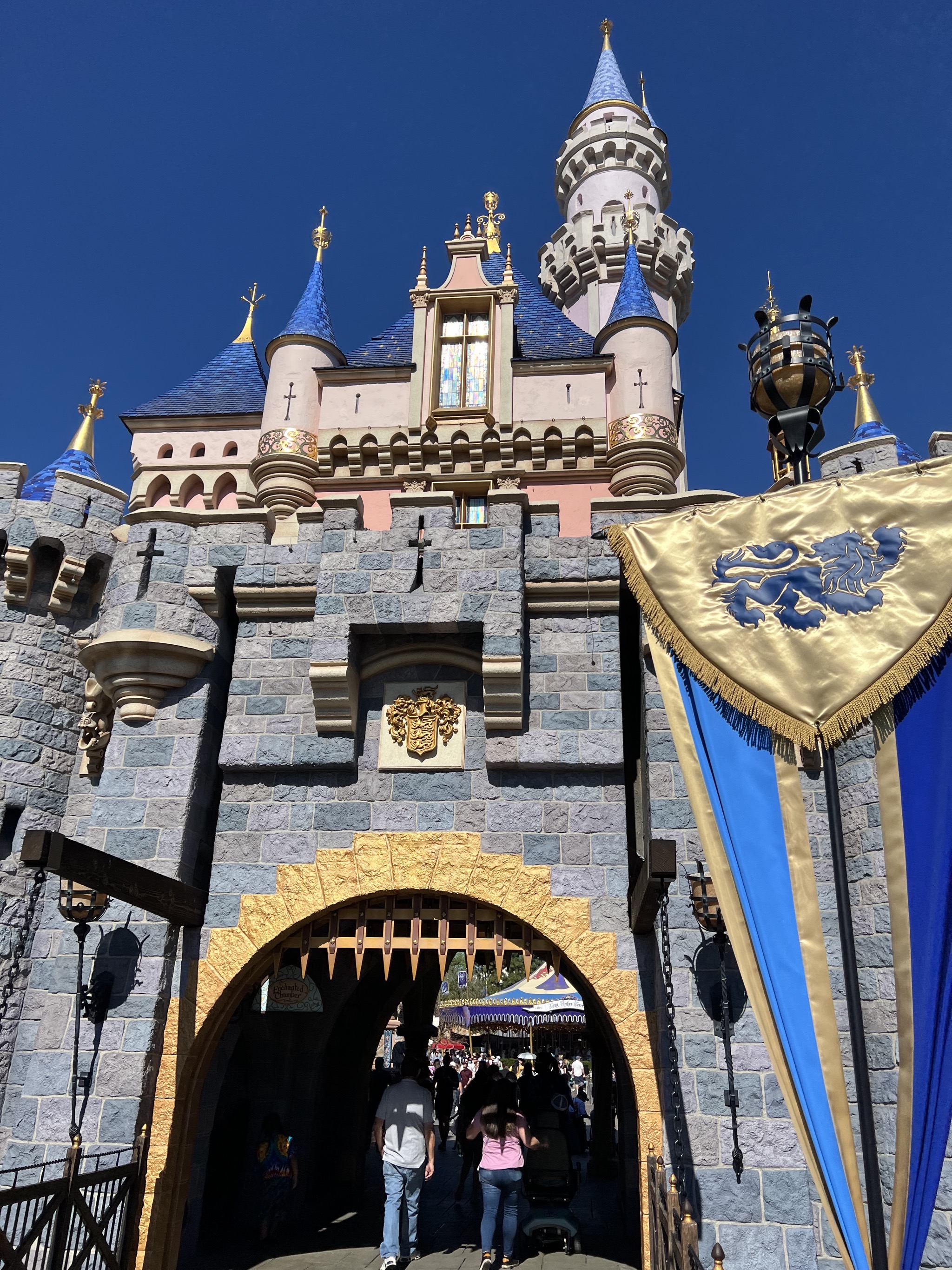 Disneyland castle