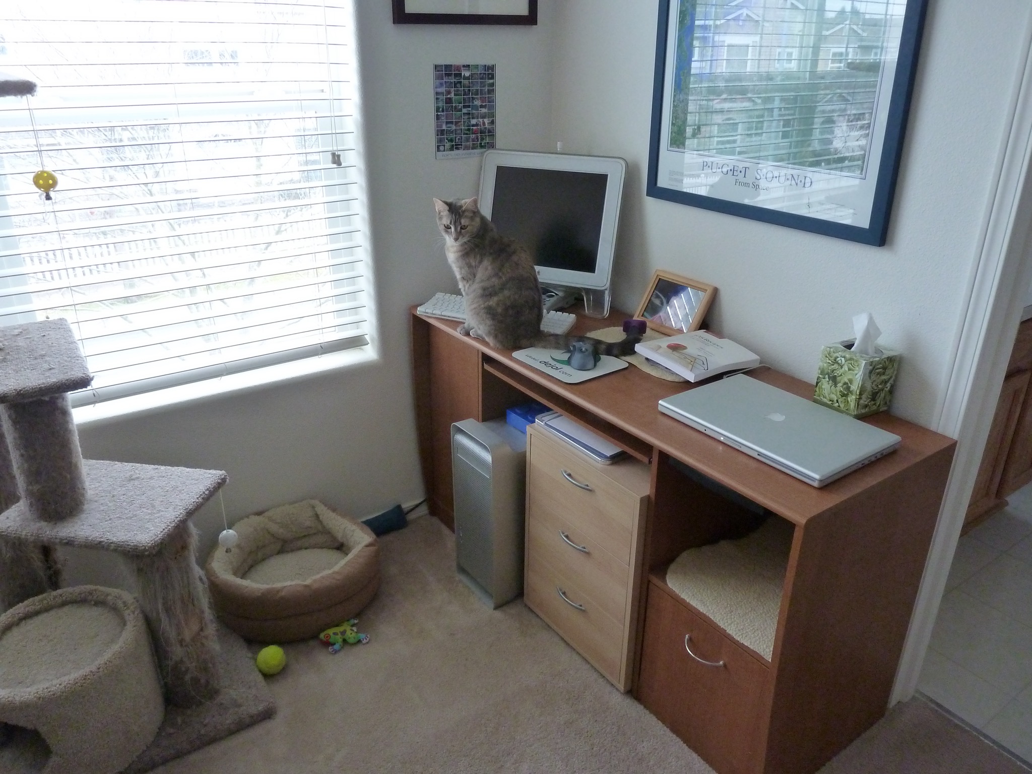 Desk