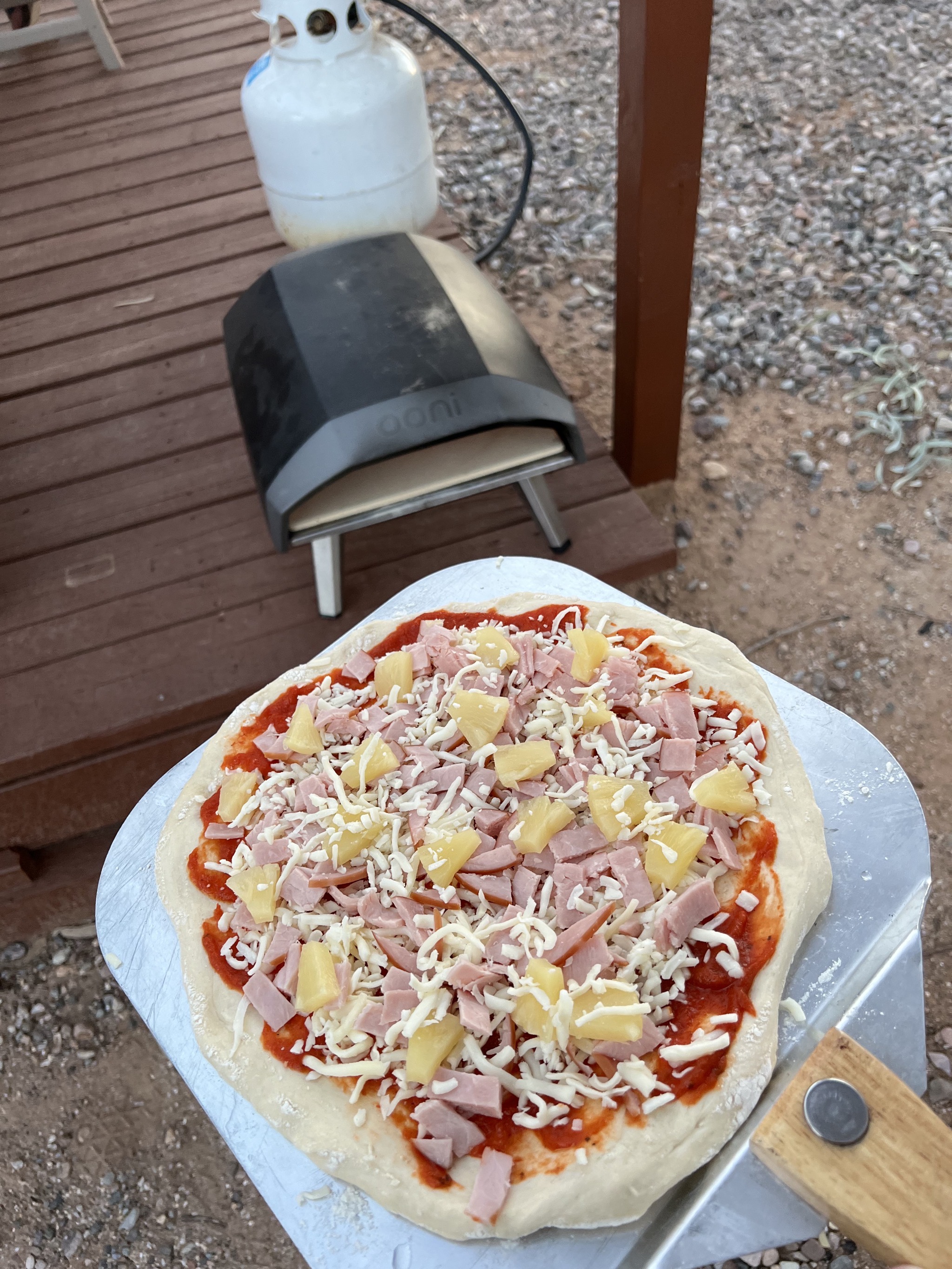 Pizza and oven