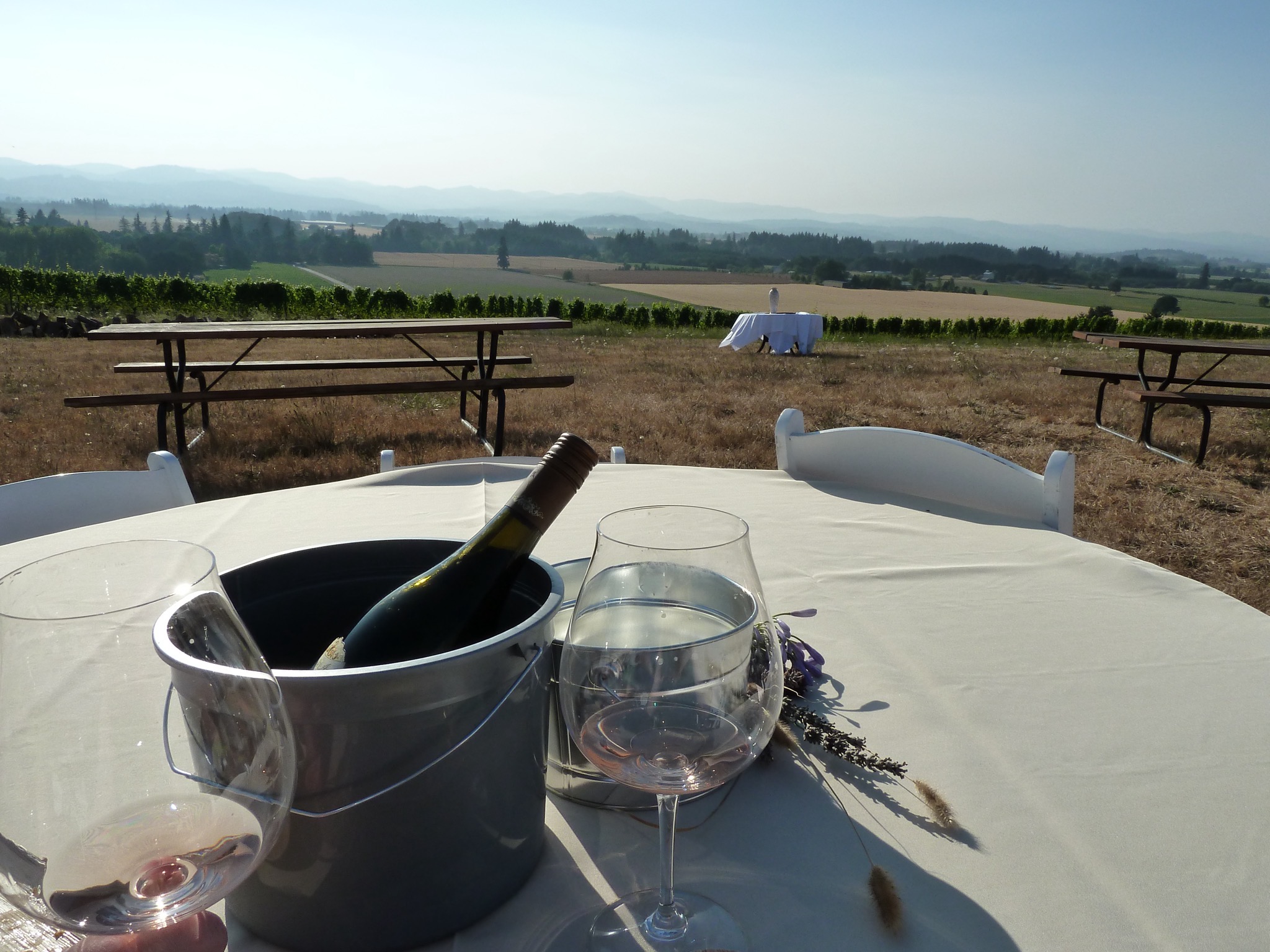Wine tasting