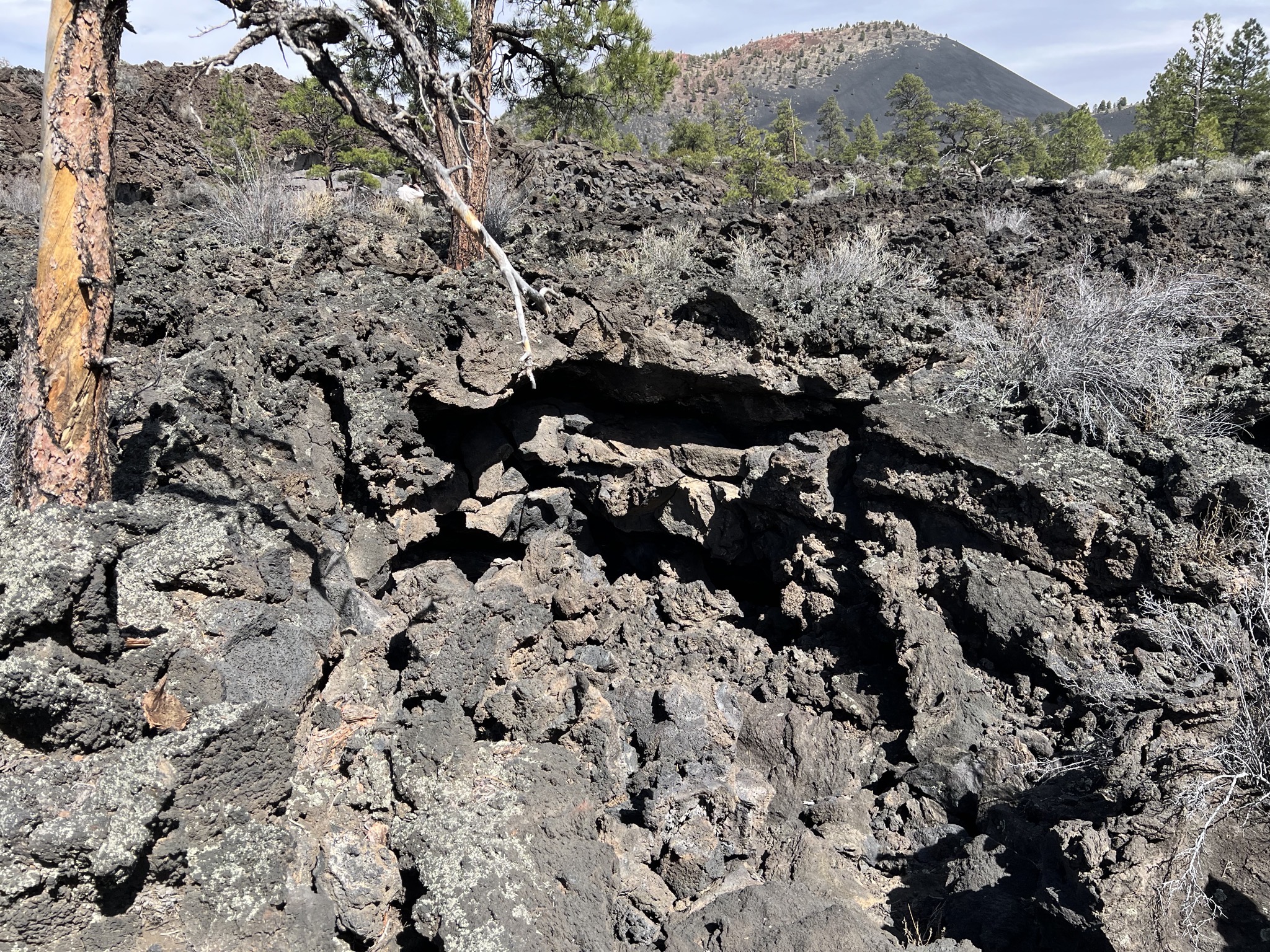 Sunset Crater Volcano National Monument