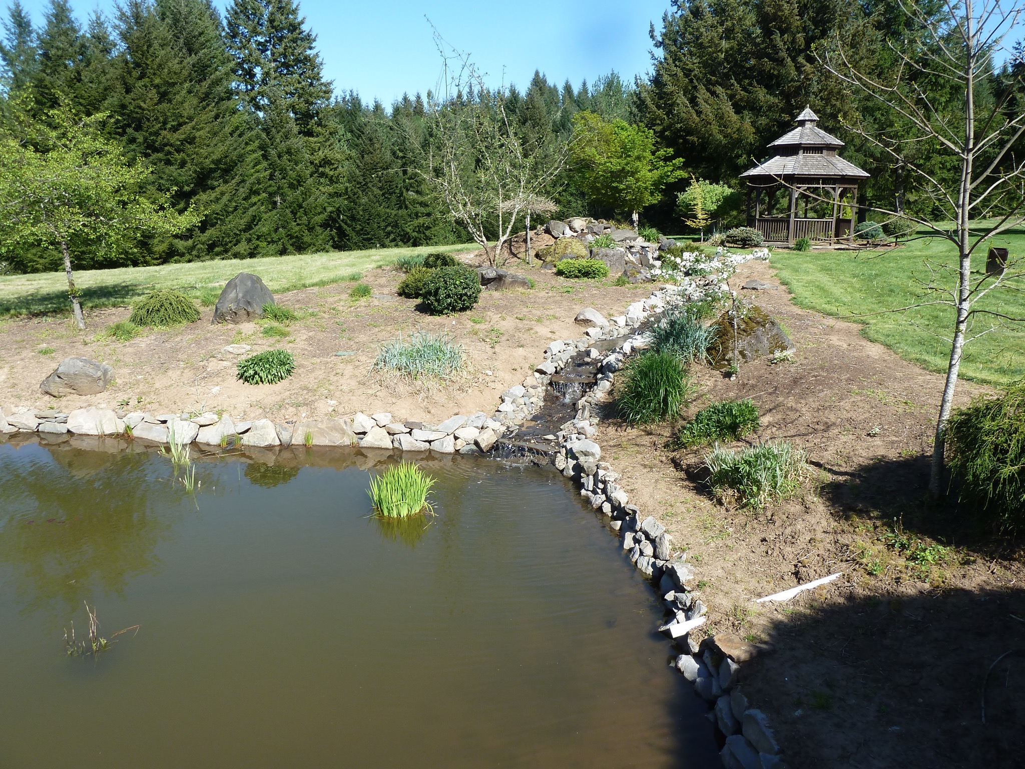 Pond