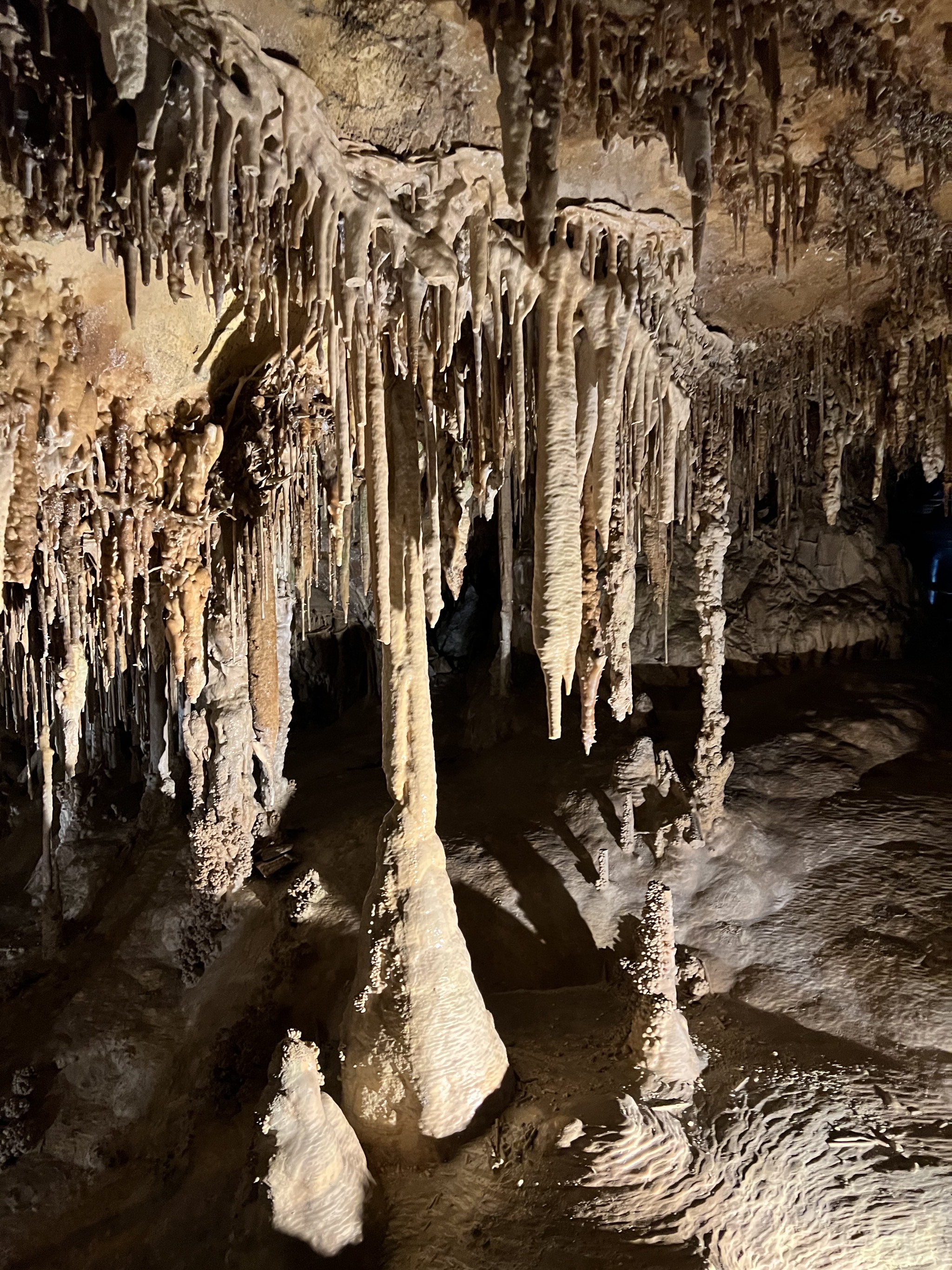Lehman Caves
