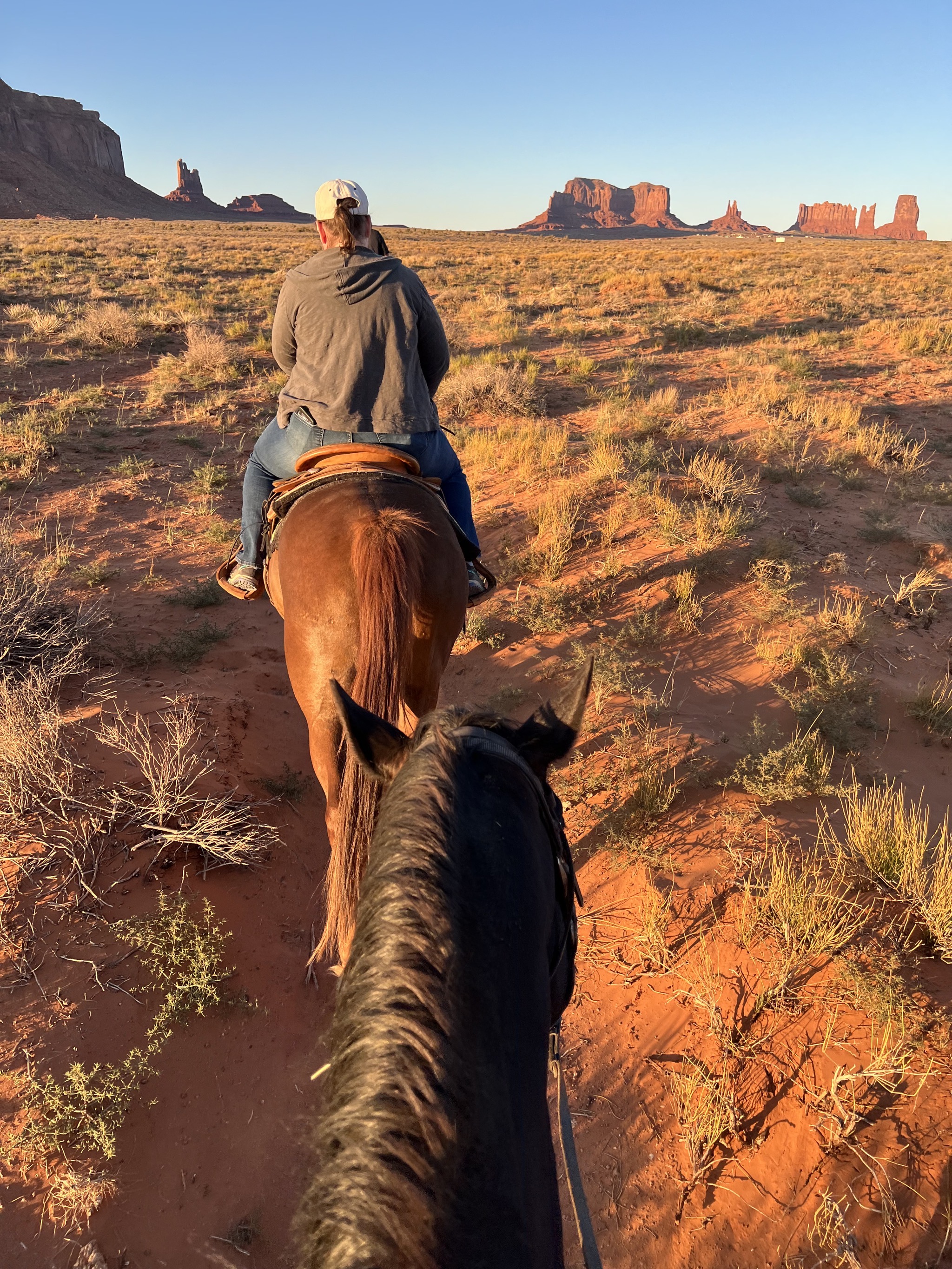 Horseback ride