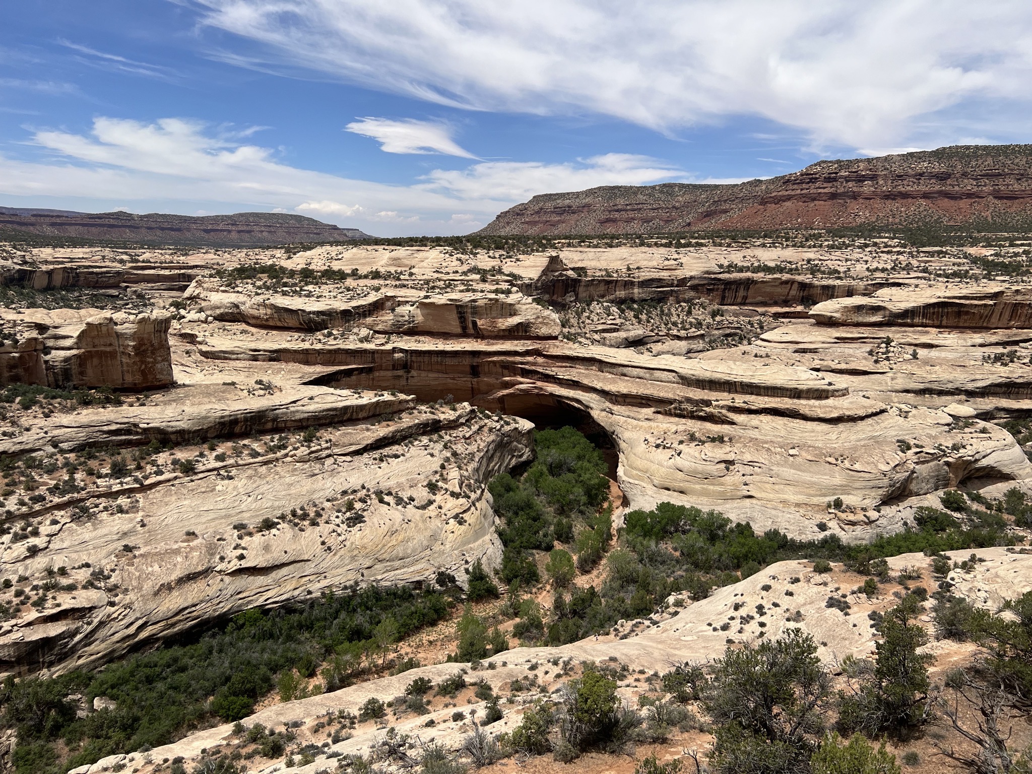 Natural Bridges National Monument
