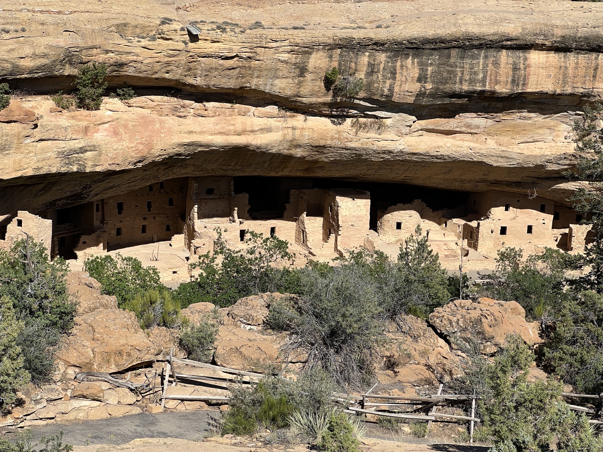 Spruce Tree House