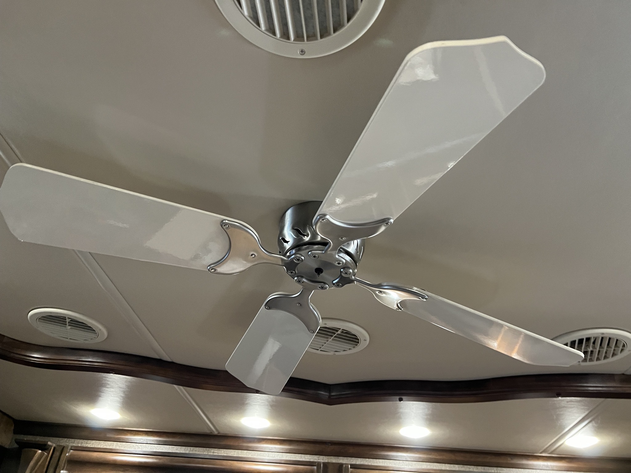 Ceiling fan