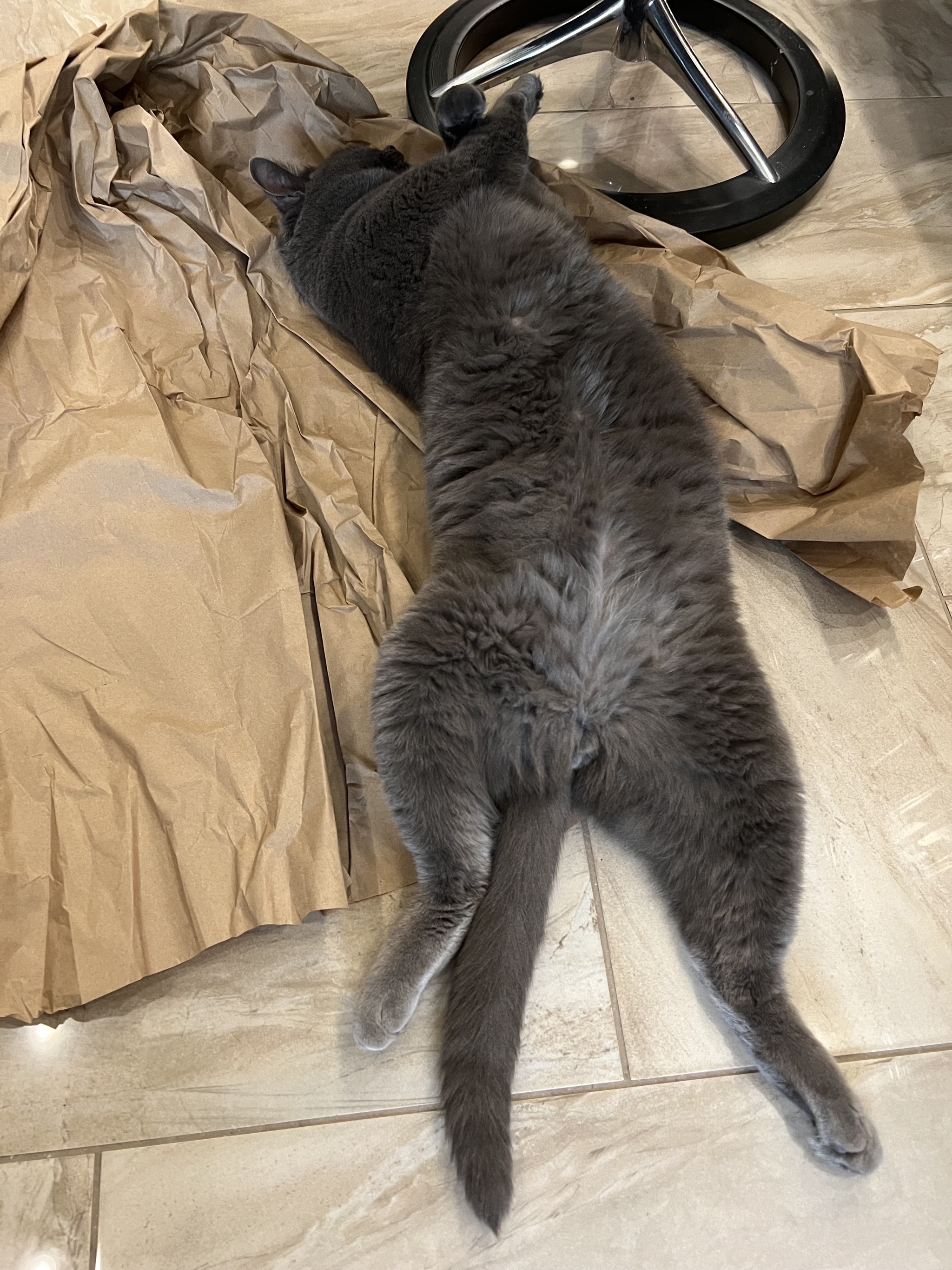 Paladin on packing paper